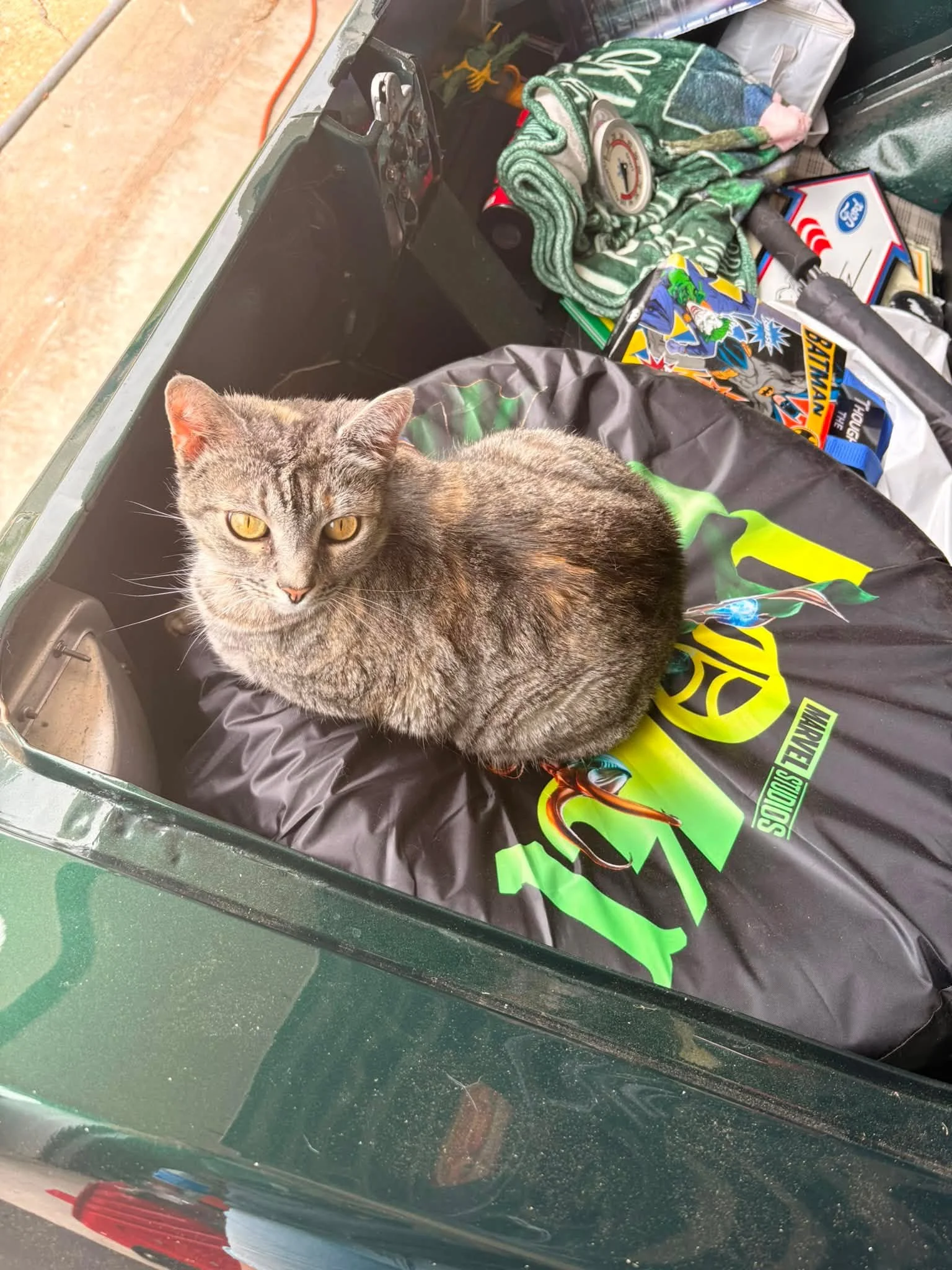 Dad: leave the trunk open, Hela likes to lay in there. 

Me: my car is not a car bed. 

Dad: she likes it. 

Apparently my car is indeed a cat bed.