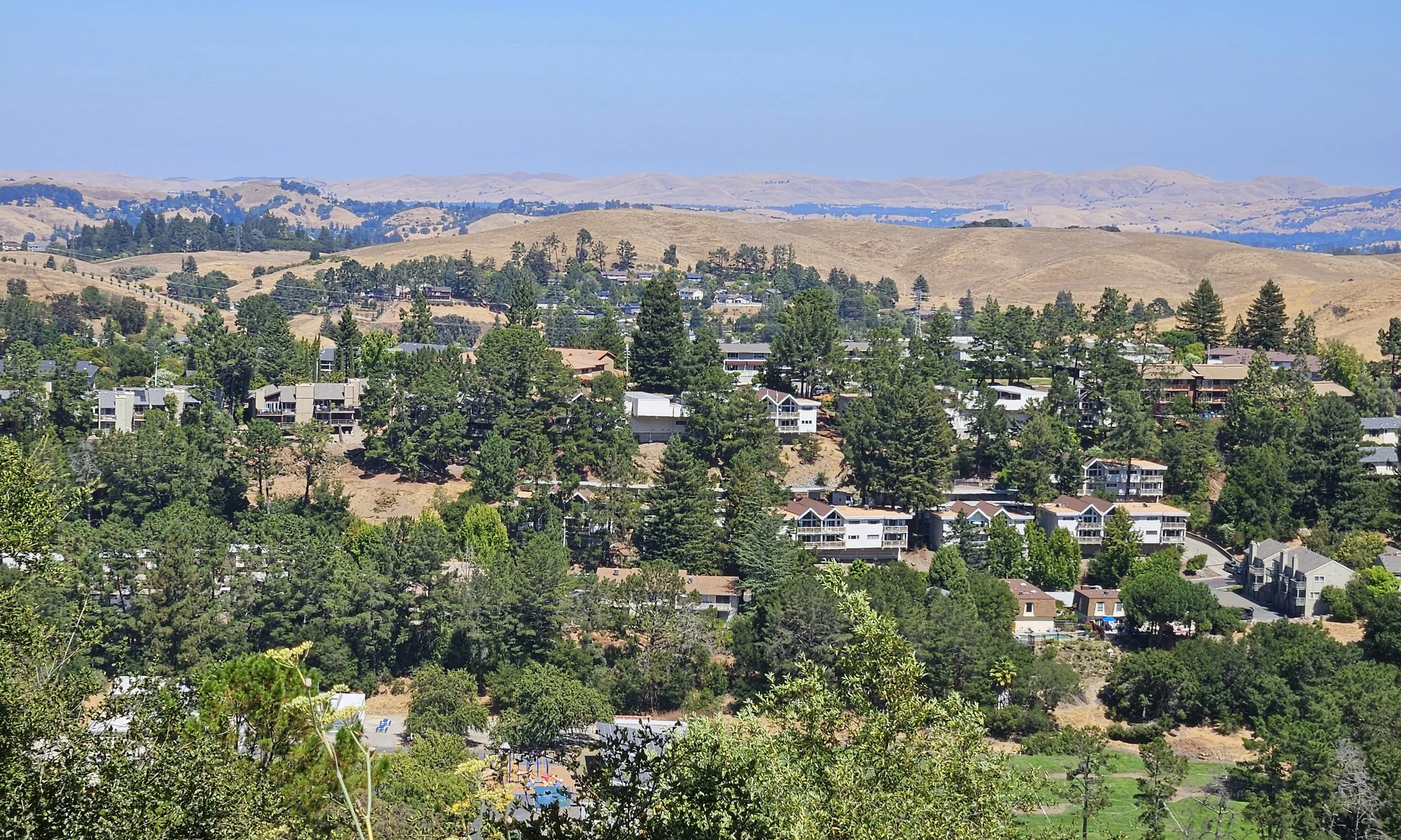 CP2-MoragaGP-1.jpg