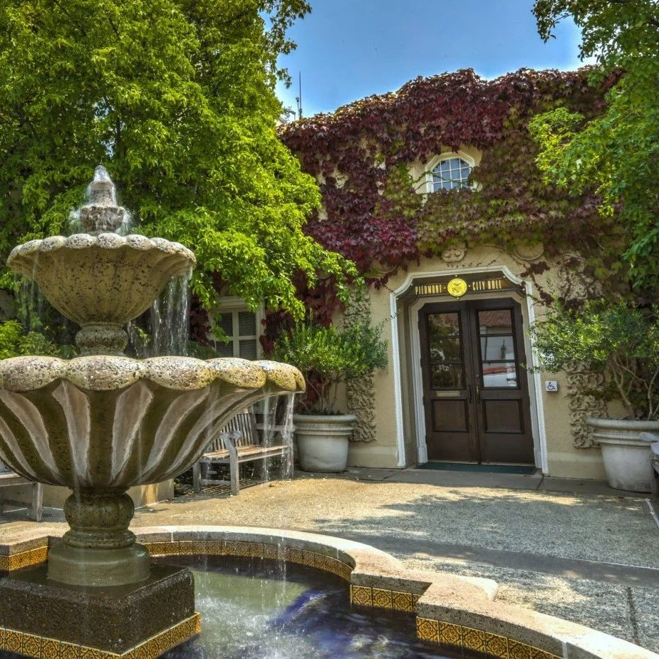 Piedmont General Plan