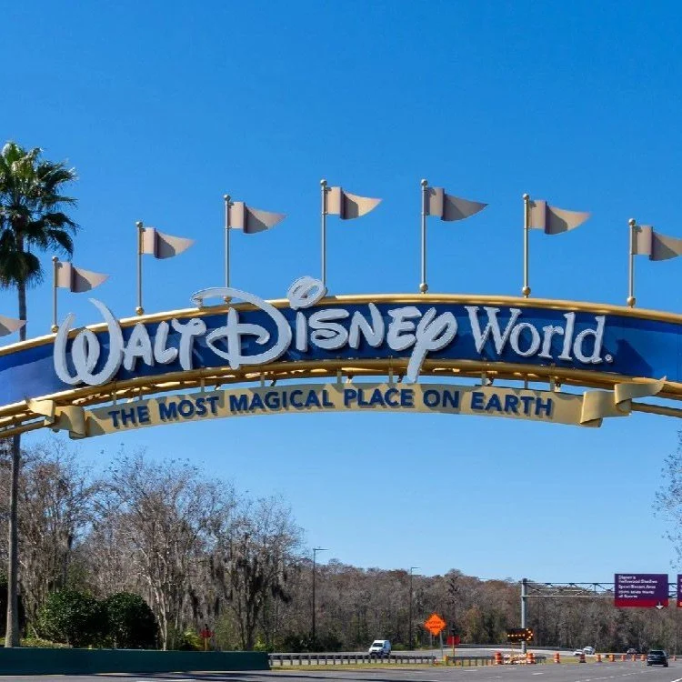 Disney World Comprehensive Plan