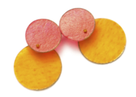 pink-orange.png