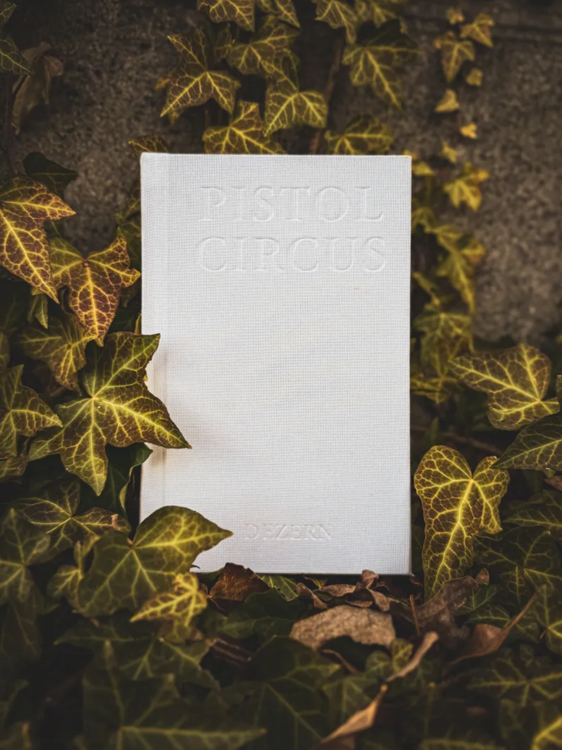 PISTOL CIRCUS