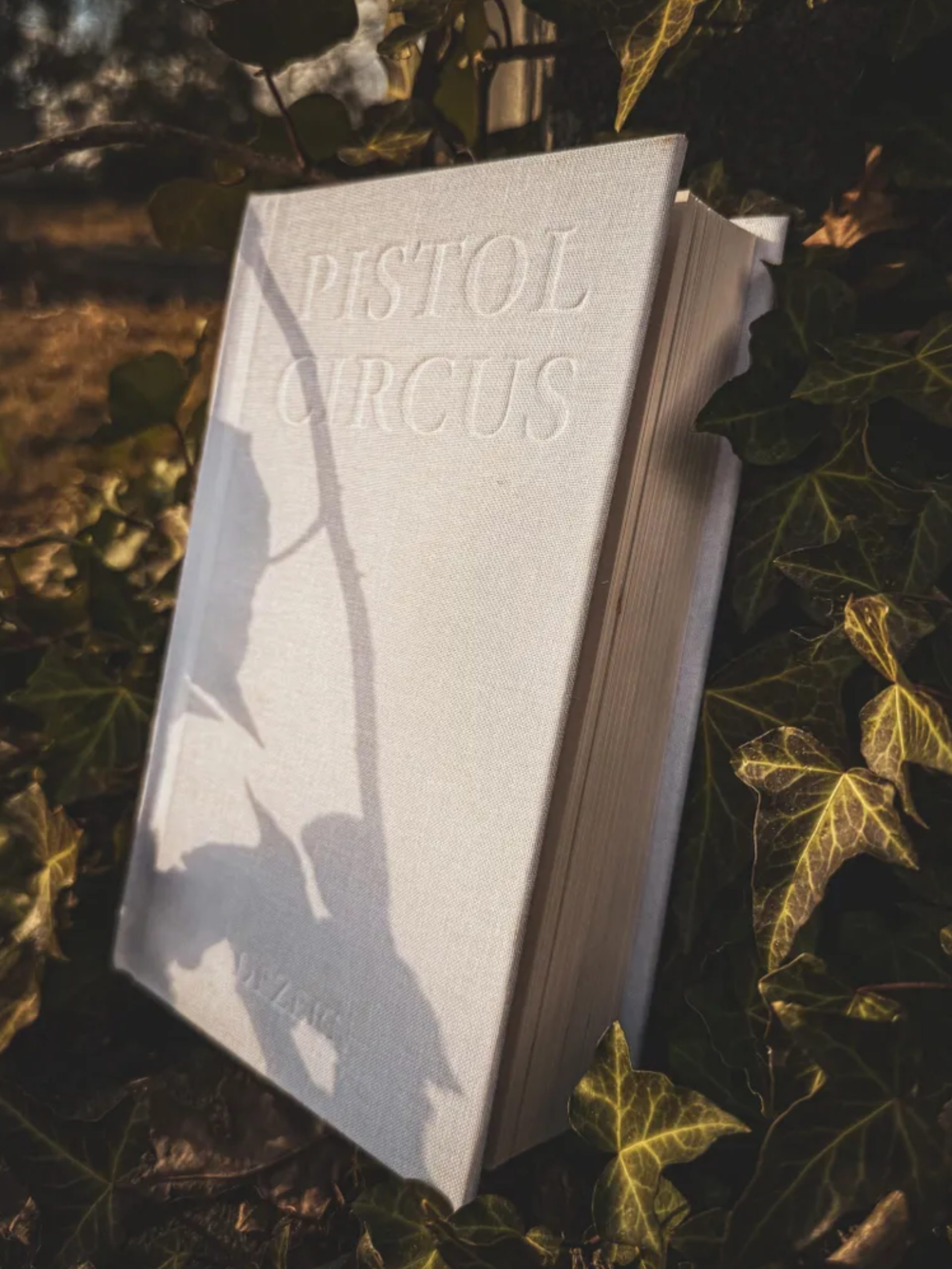A book titled 'Pistol Circus' is placed on the ground surrounded by dark green, variegated ivy leaves. The book's cover appears to be light-colored fabric with embossed lettering. The scene is lit artificially, casting shadows and highlighting the texture of the book and leaves.