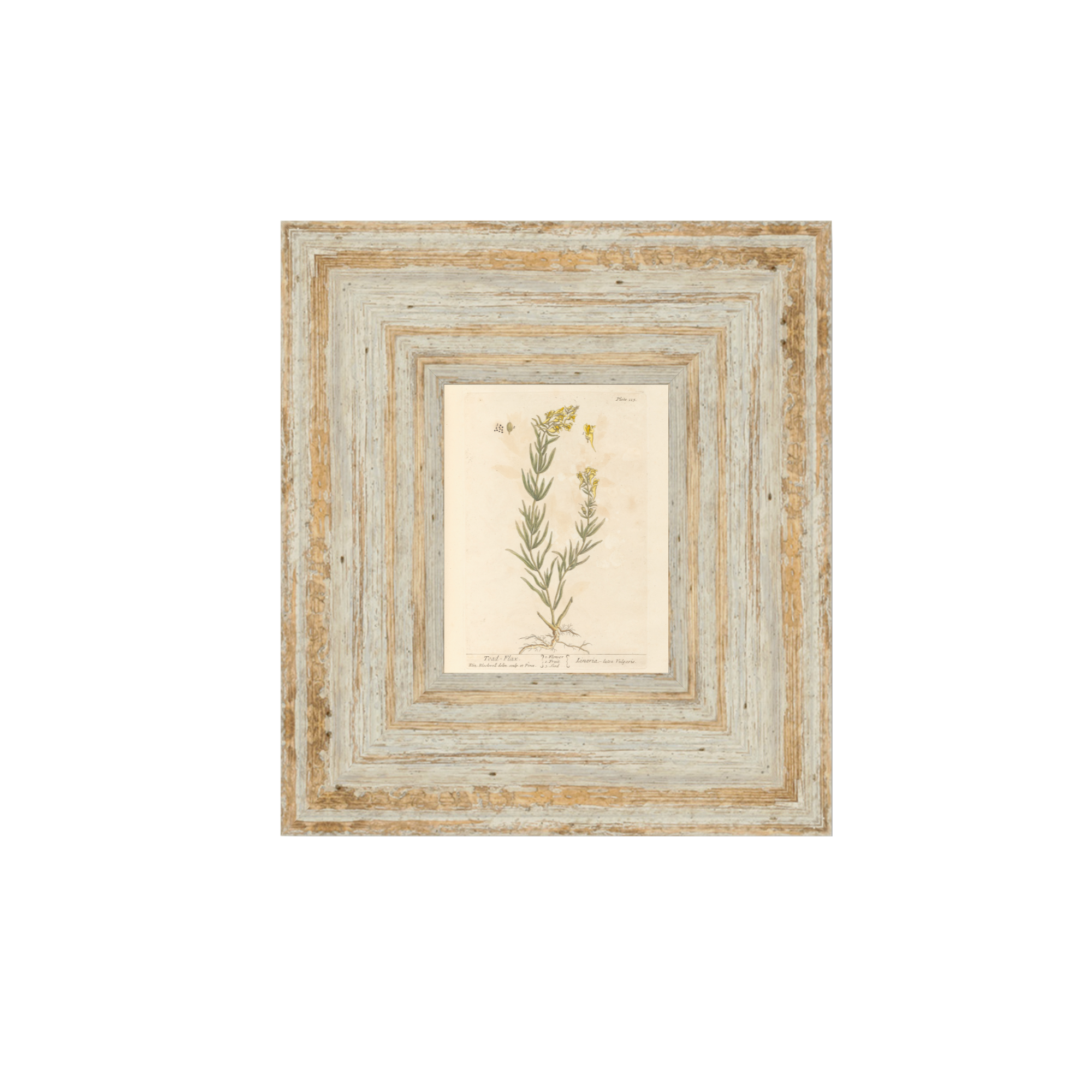Untitled (2000 x 2000 px) - 2026-08-17T235734.353.png