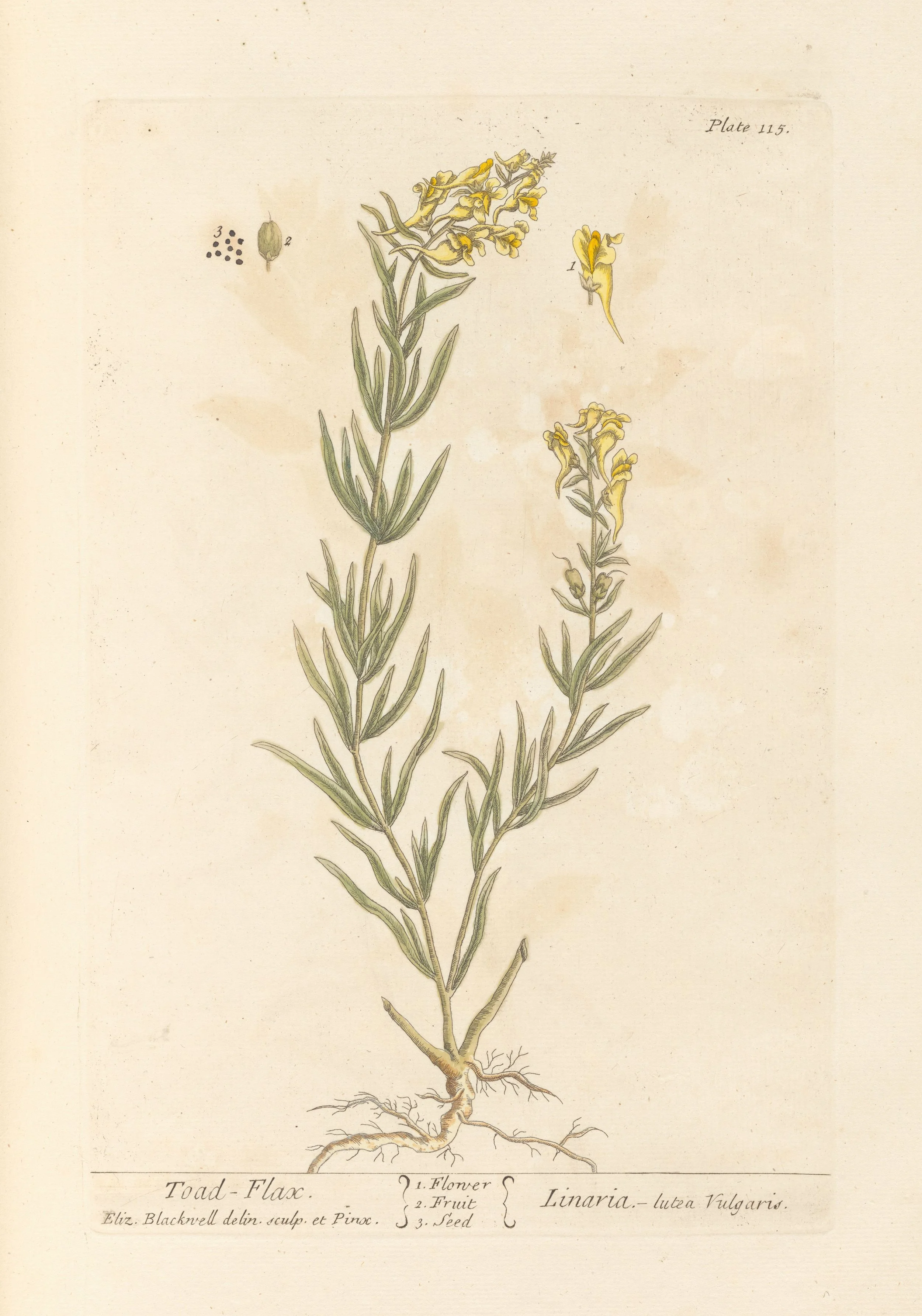 58431pl.jpg
