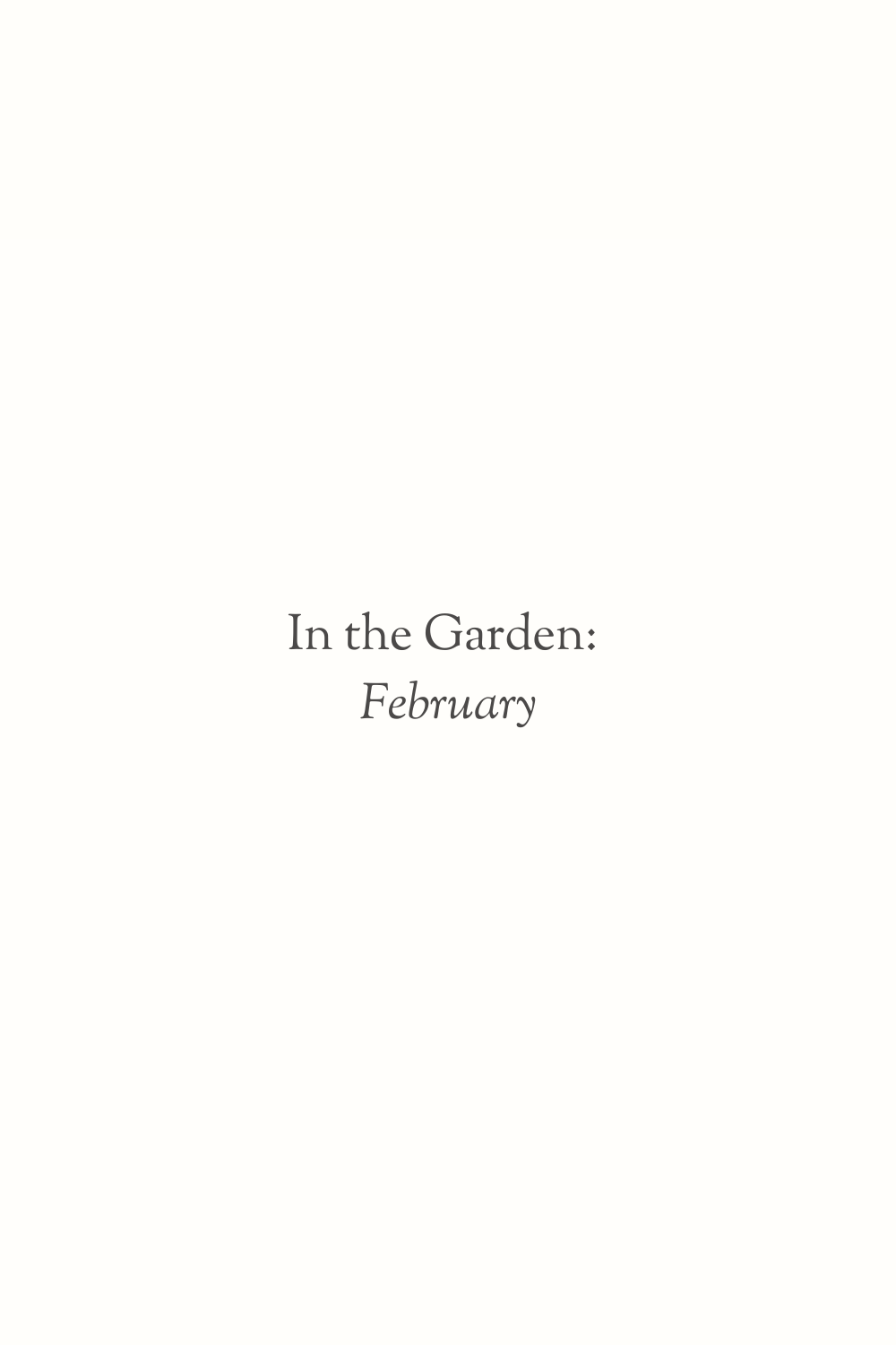 In the Garden: February