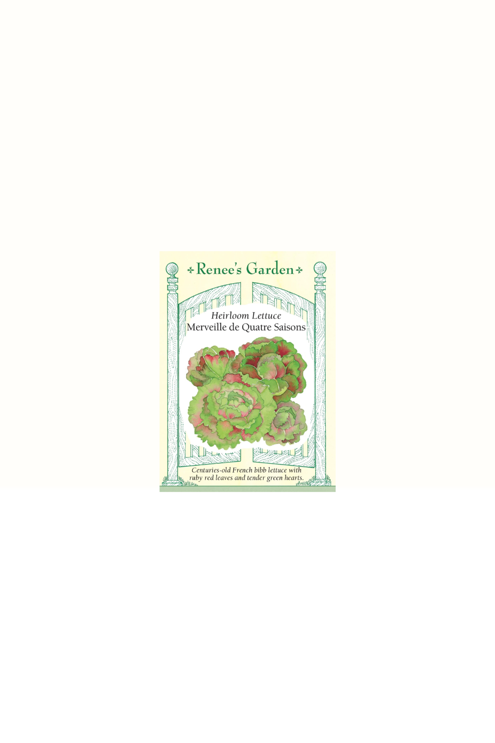 Merveille De Quatre Saisons Lettuce