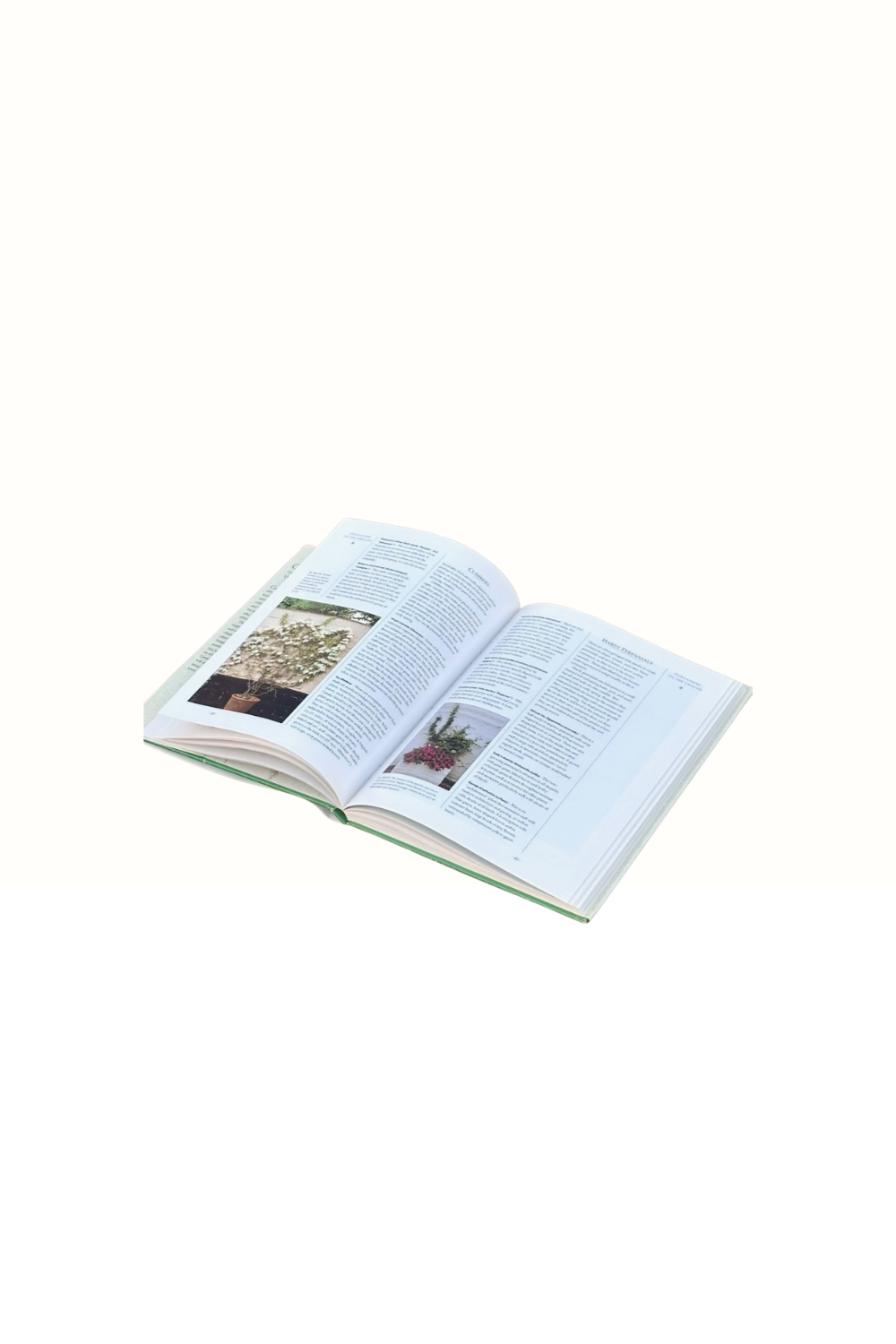 April Notes - 2026-08-14T212802.209.png