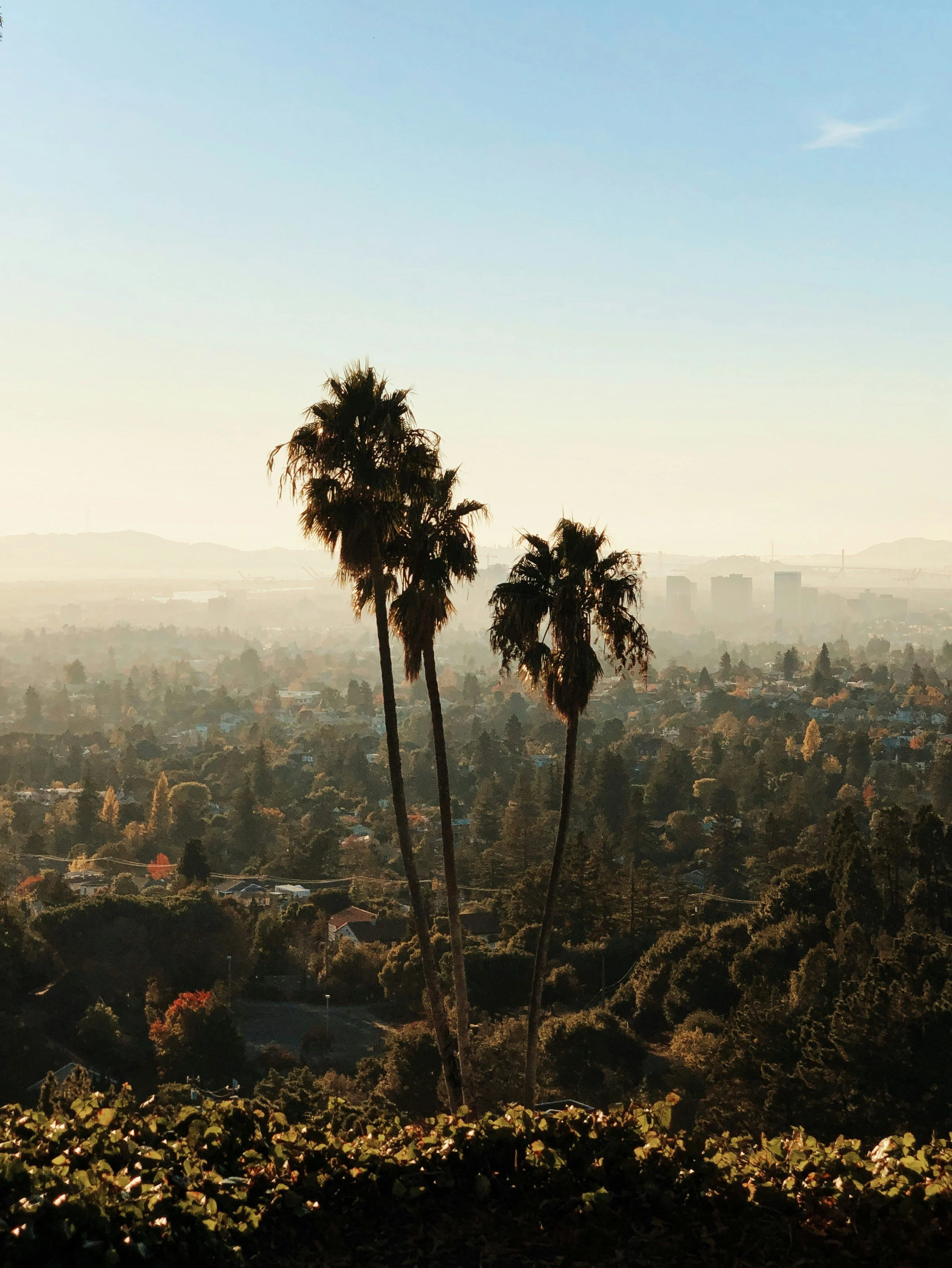 View of a city skyline with tall palm trees in the foreground, hazy atmosphere, and distant mountains in the background during sunset or sunrise.