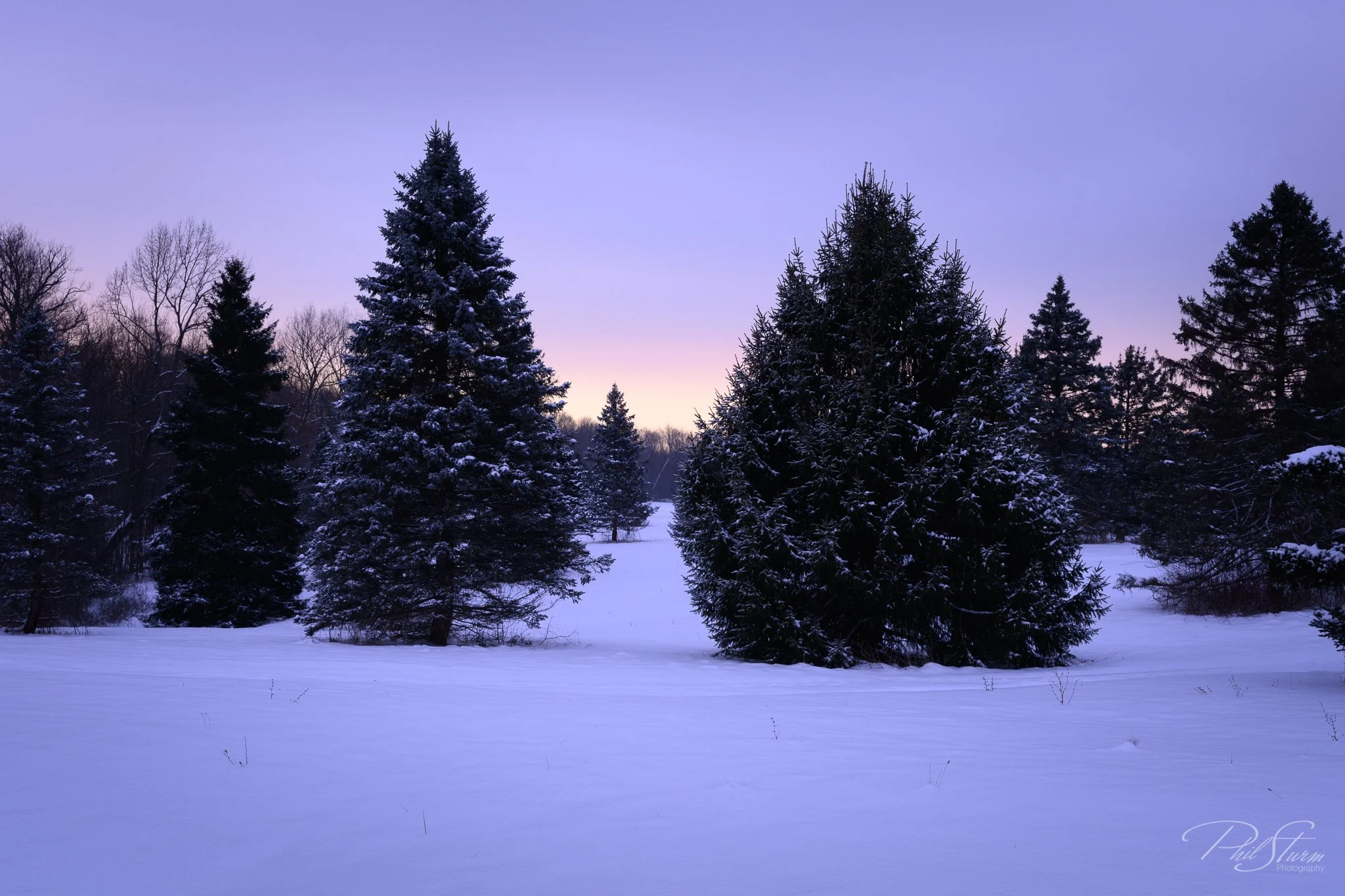 Snowy Morning at the Holden Arboretum