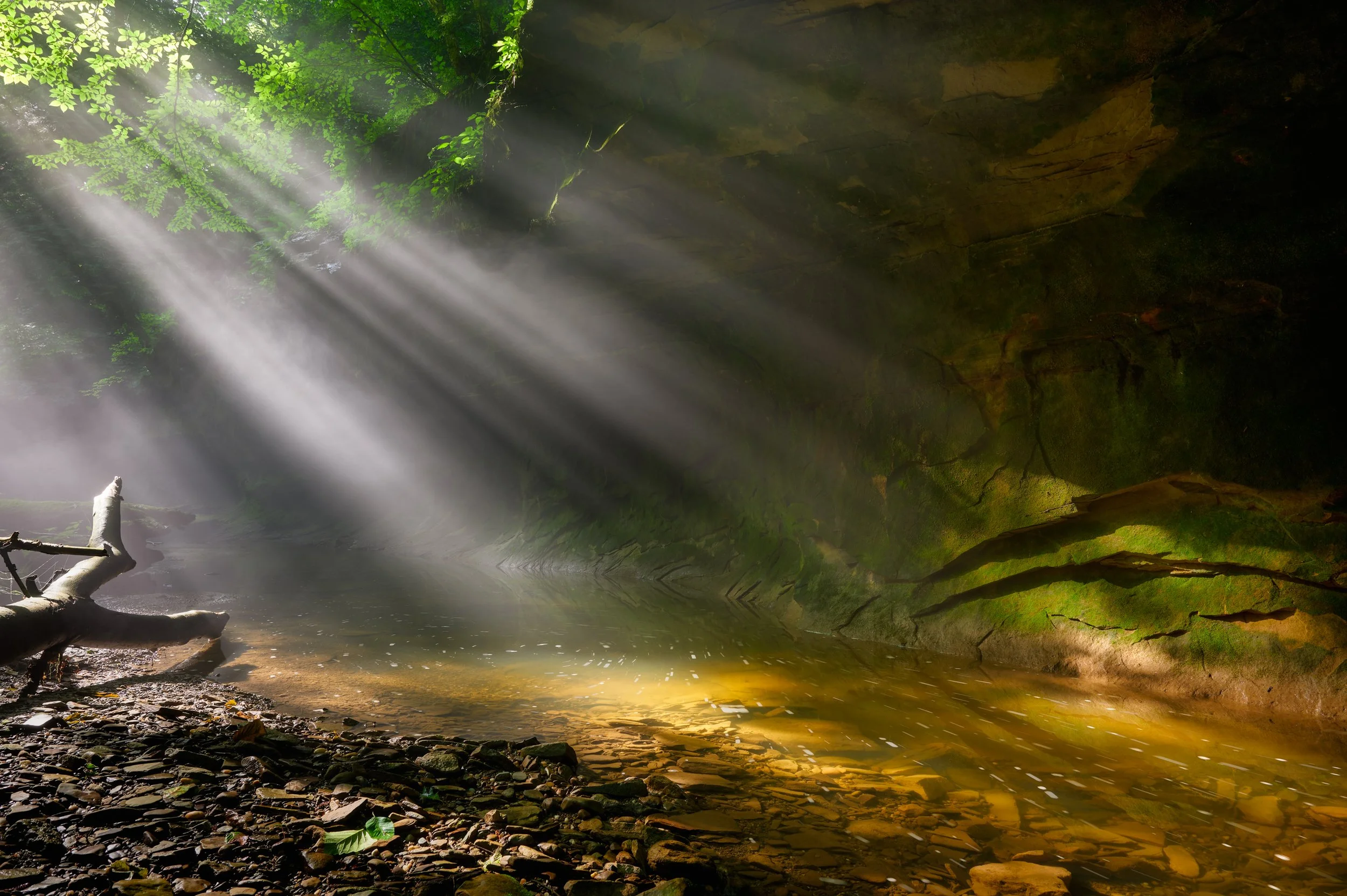 Nikon__PVS0051 1.jpg