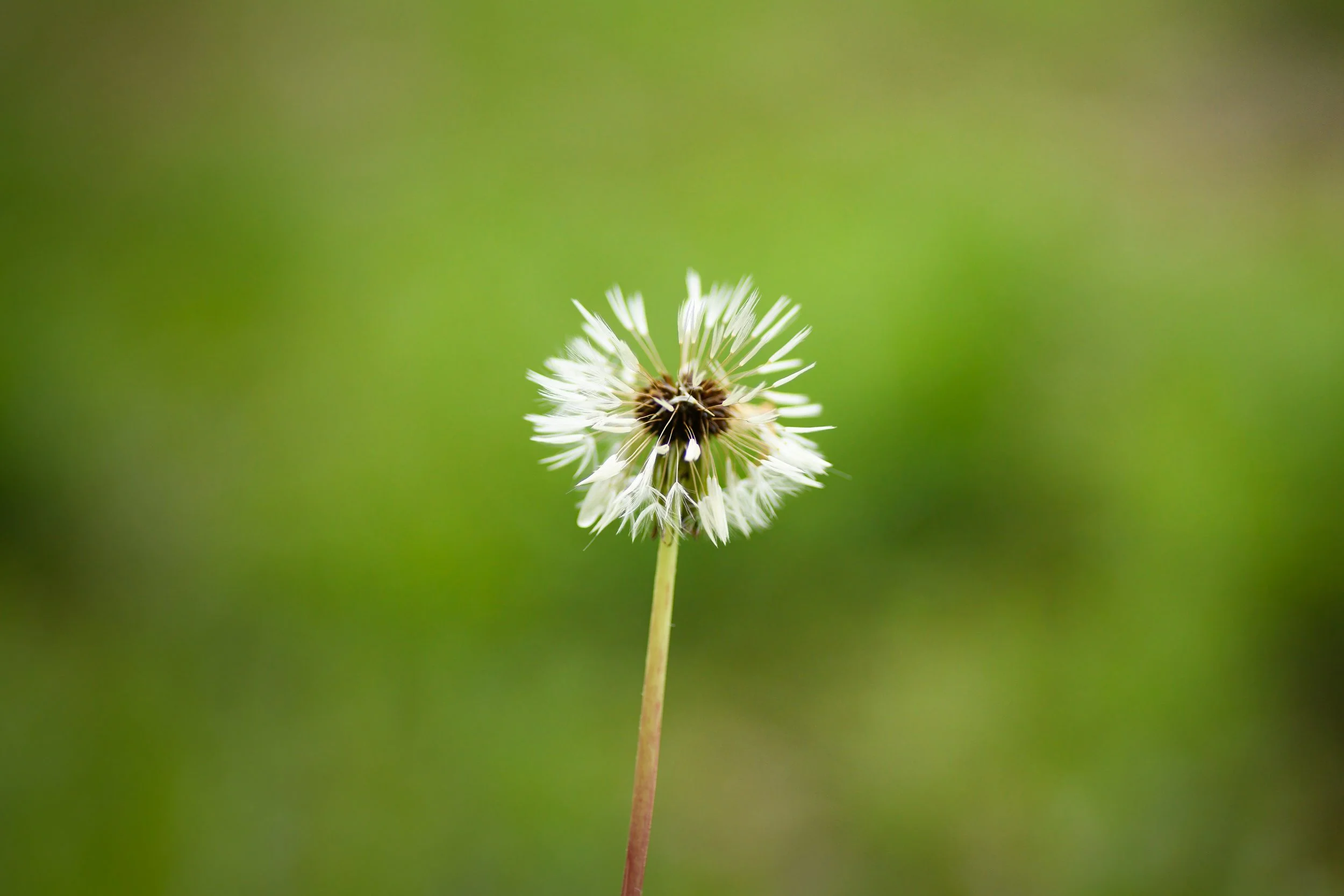 _D850279-Edit.jpg