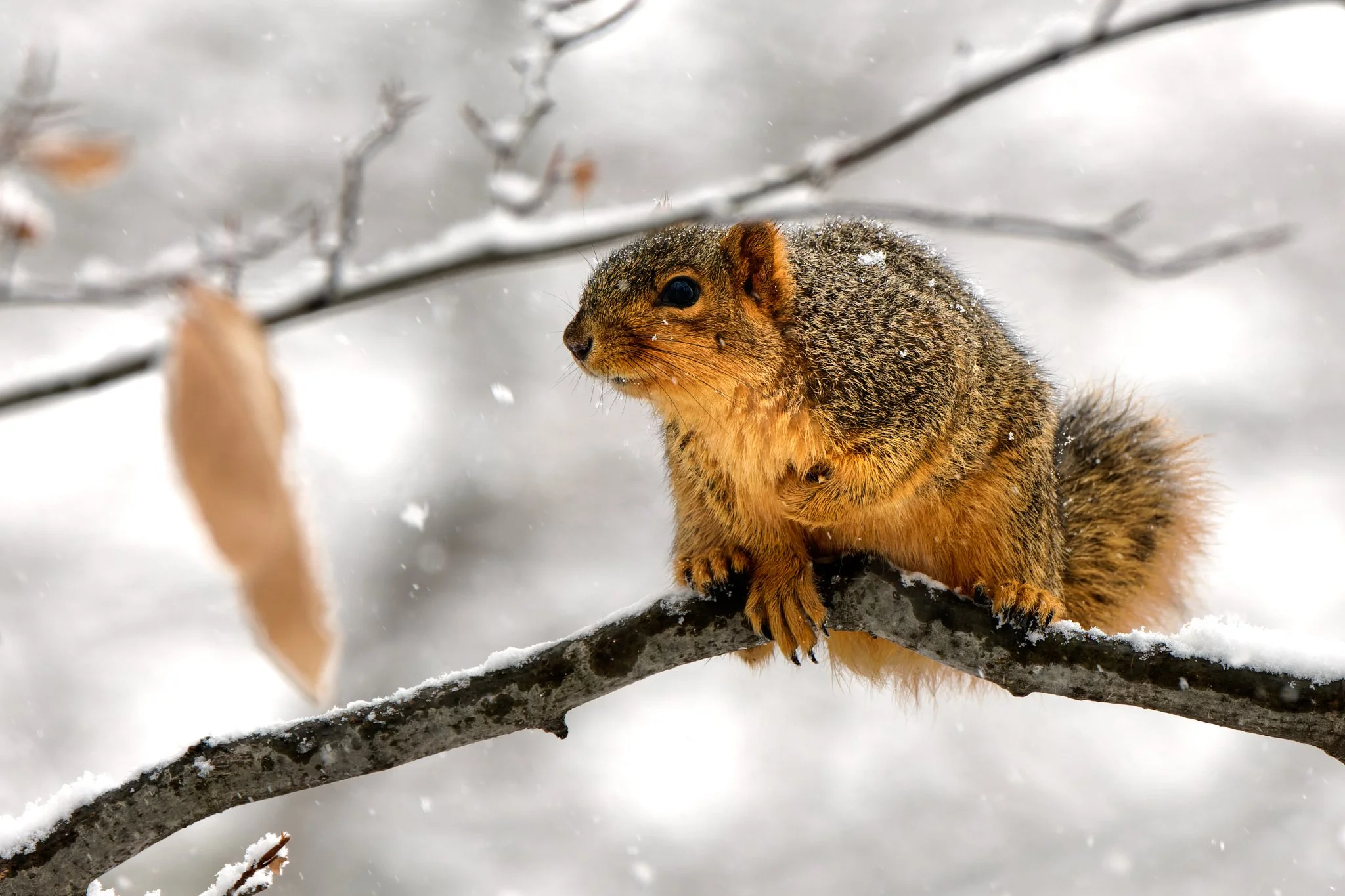 DXO Edit 1_2048px.jpg