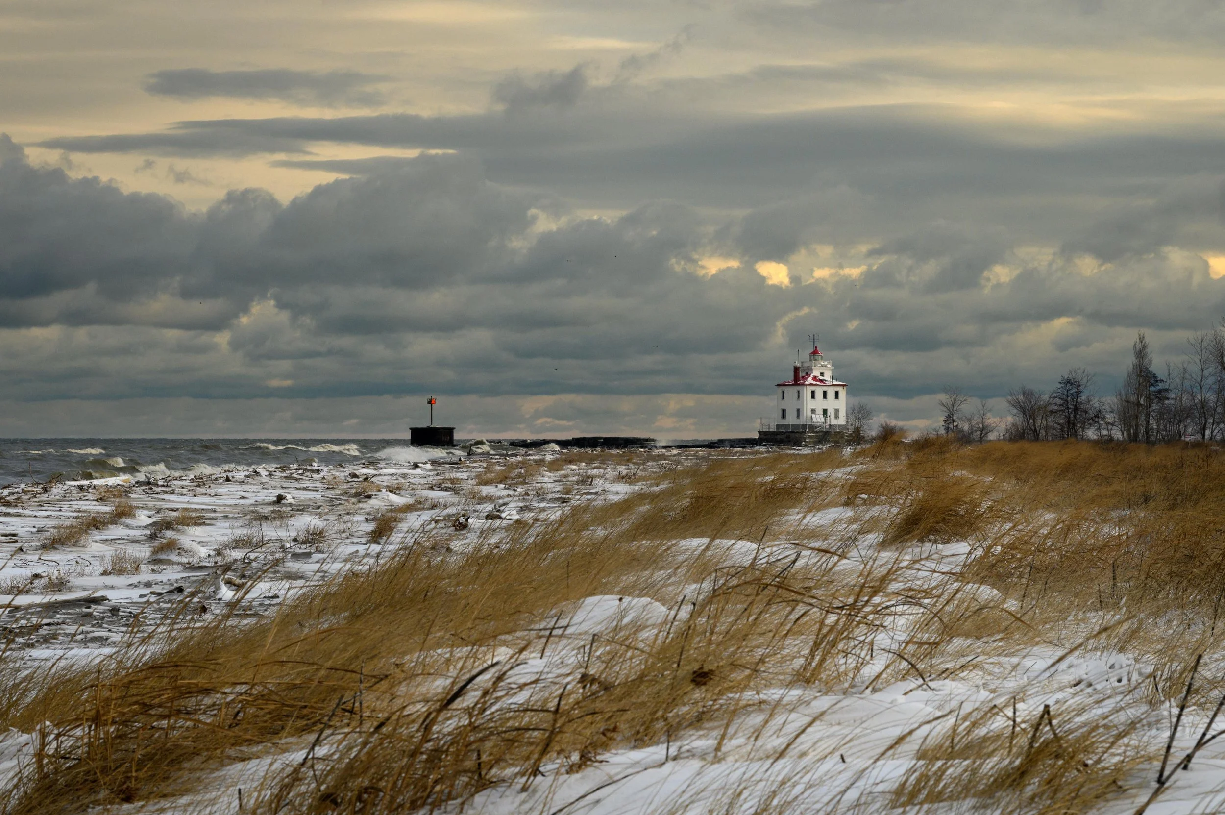 Nik LH Various-1089.jpg