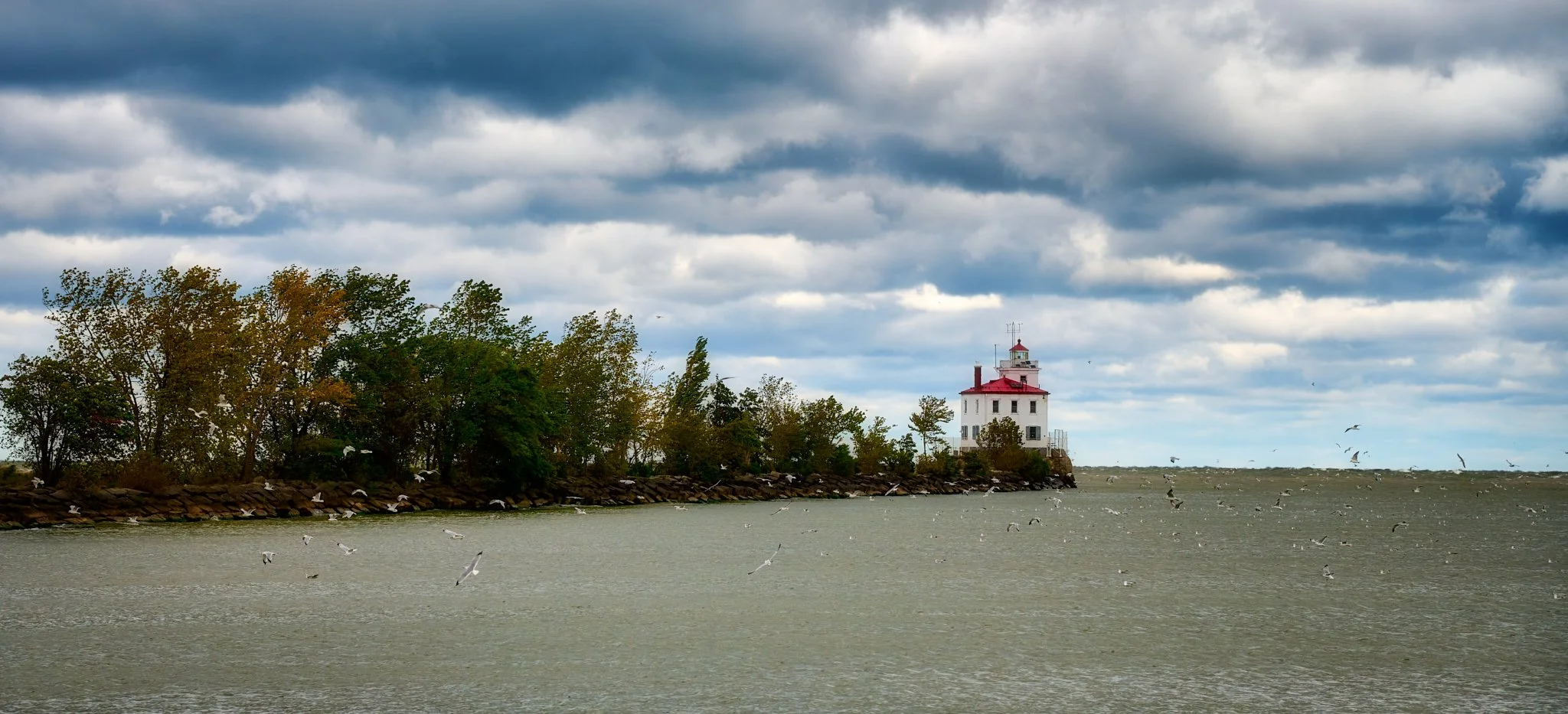 _PVS2520 2048px 1.jpg