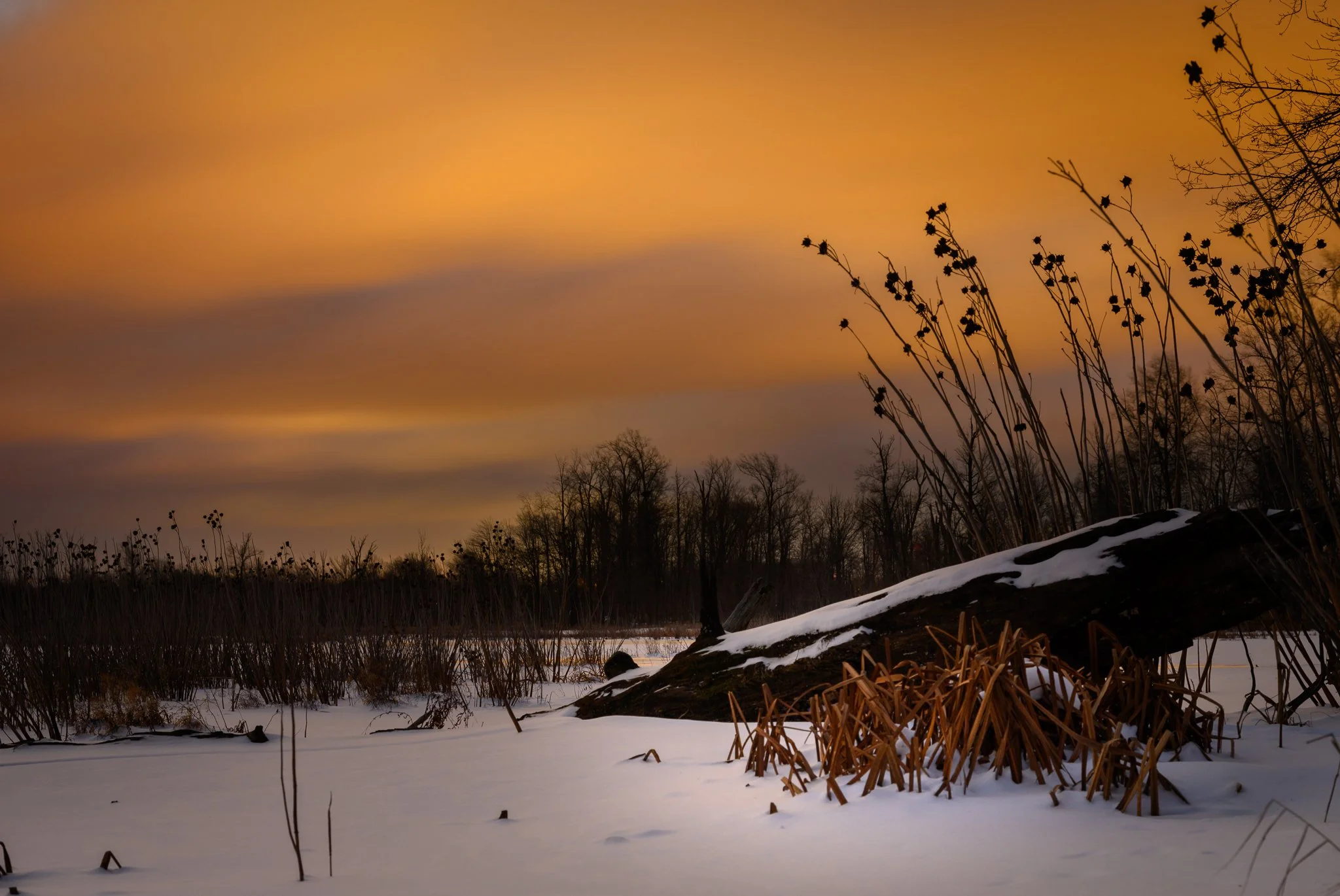 Shipman Sunrise2.jpg