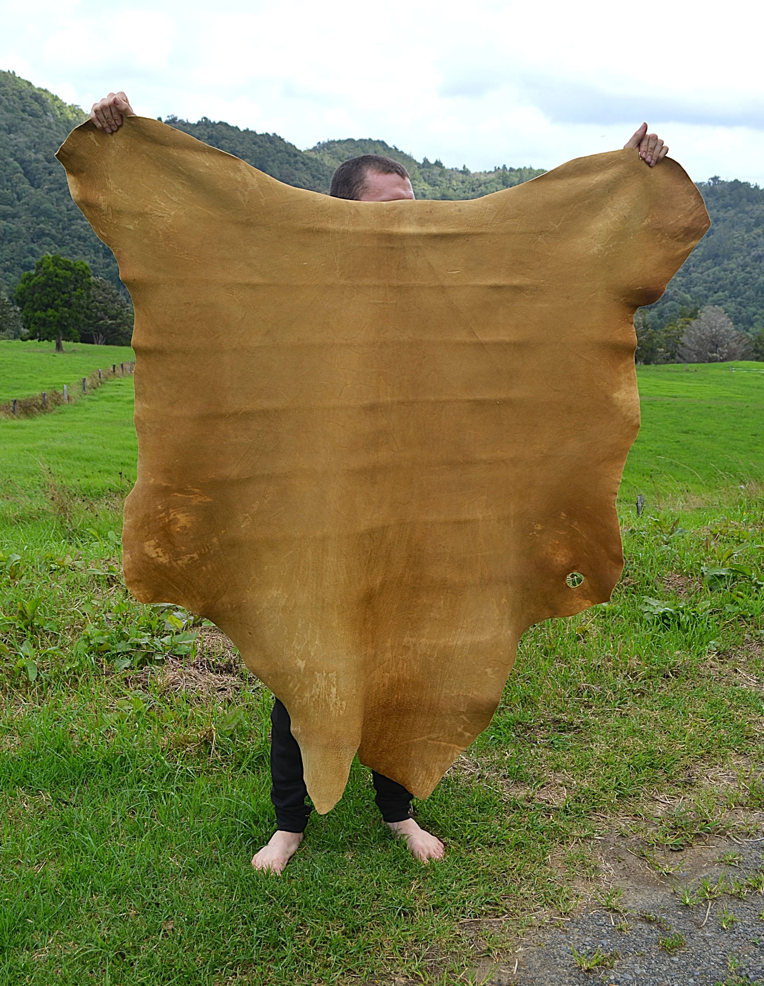 Buckskin 7 - 14.9 sq ft (1).JPG