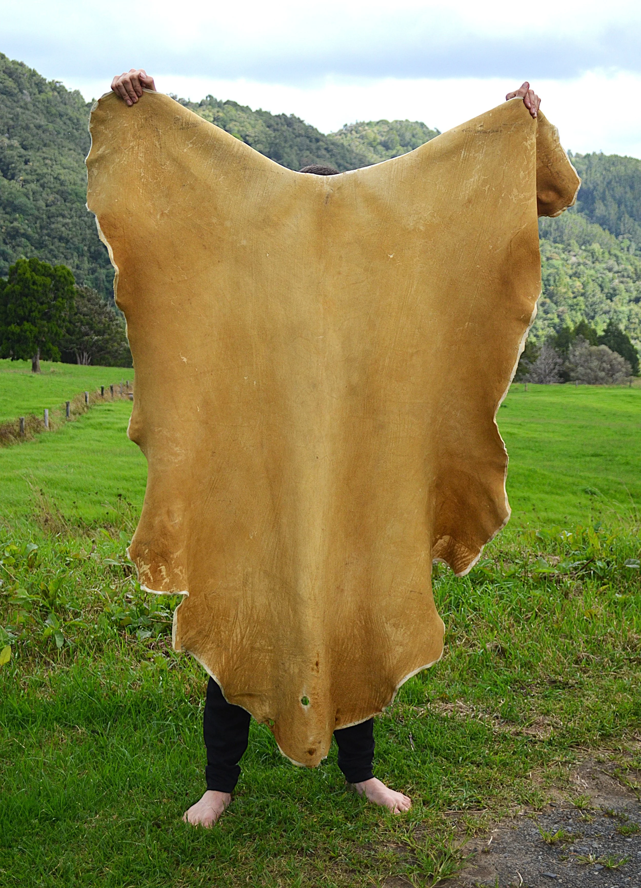 Buckskin (11) - 13.5 sq ft