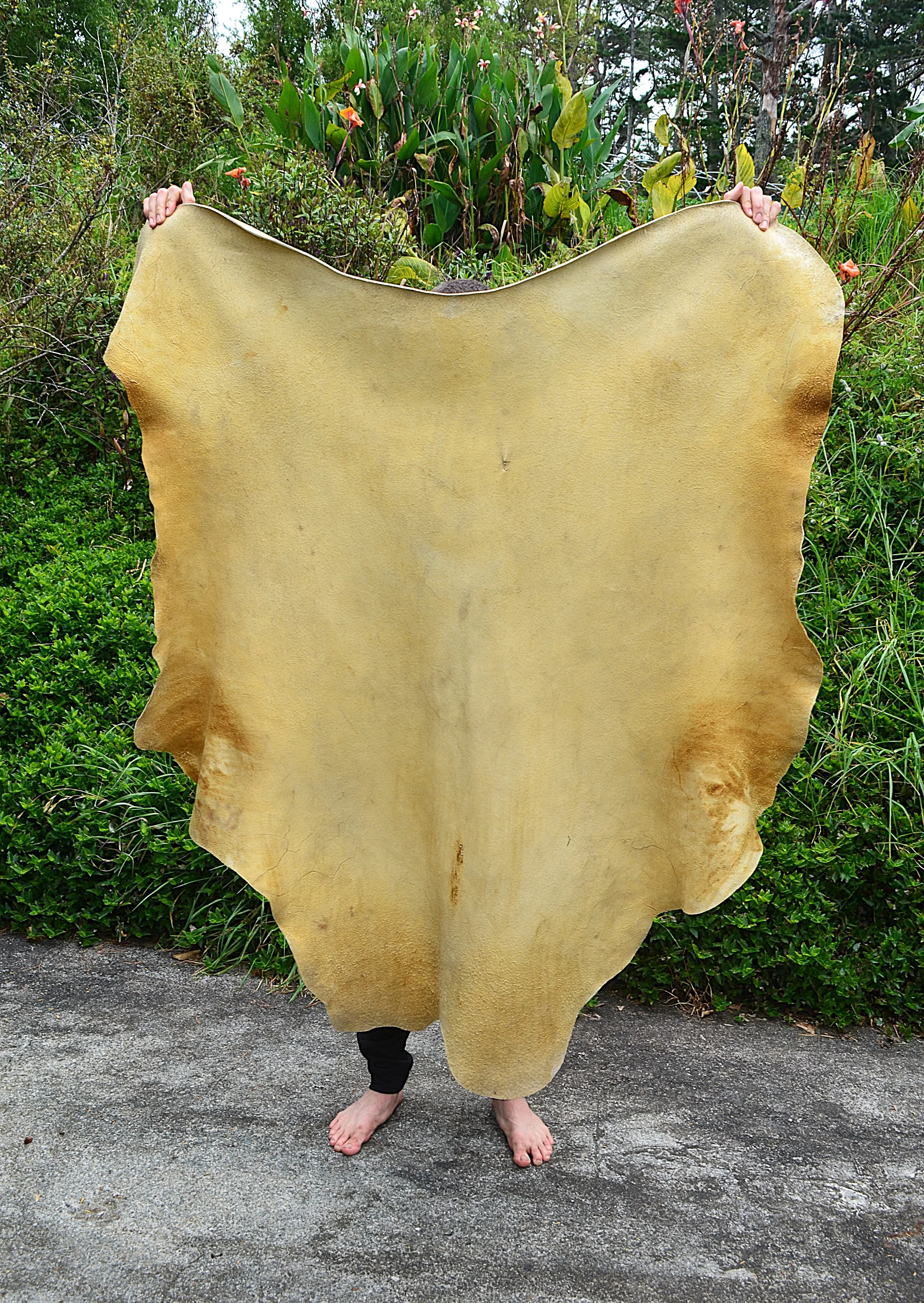 Buckskin 12 - 13.3 Sq ft (2).JPG