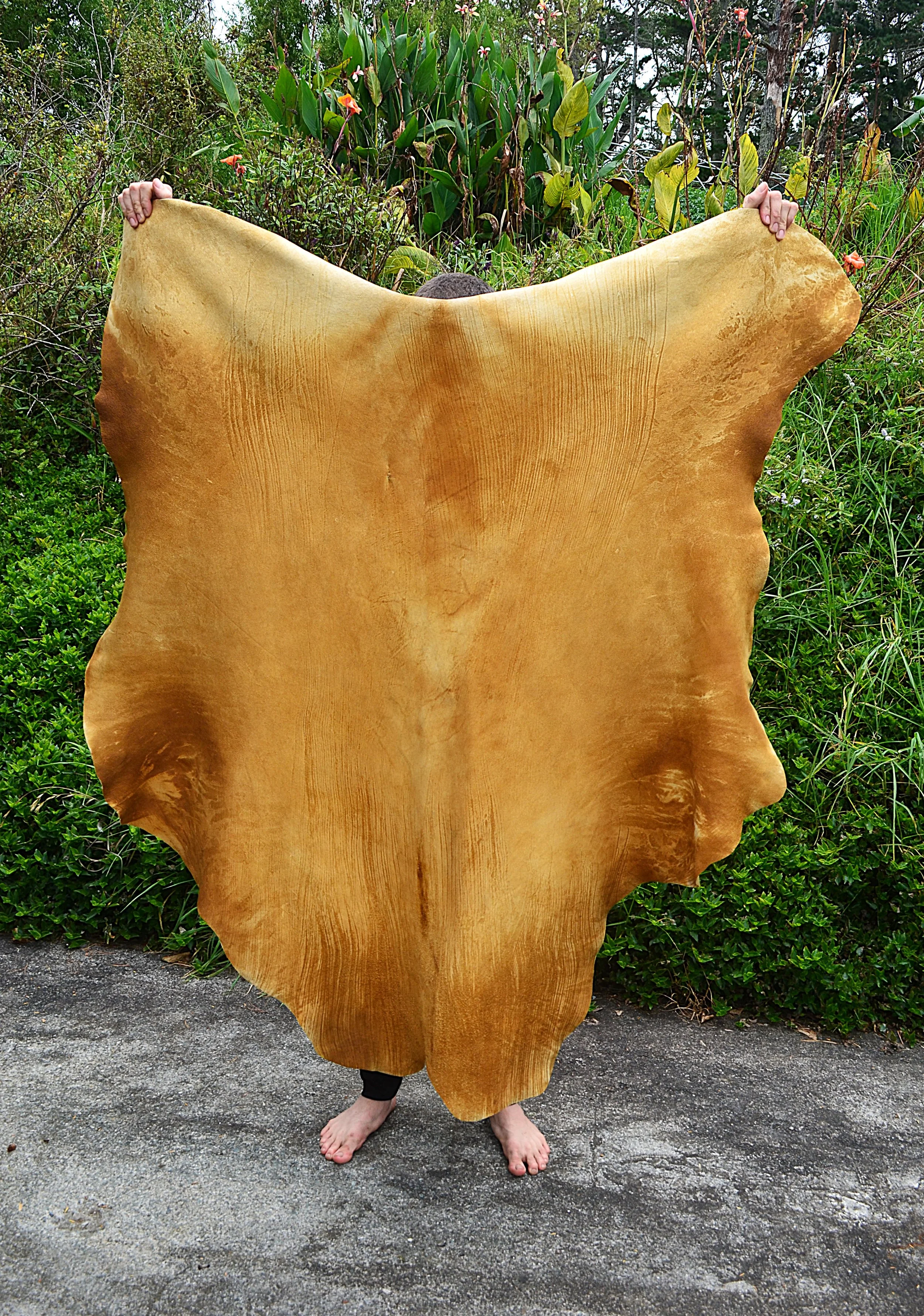 Buckskin (12) - 13.3 Sq FT