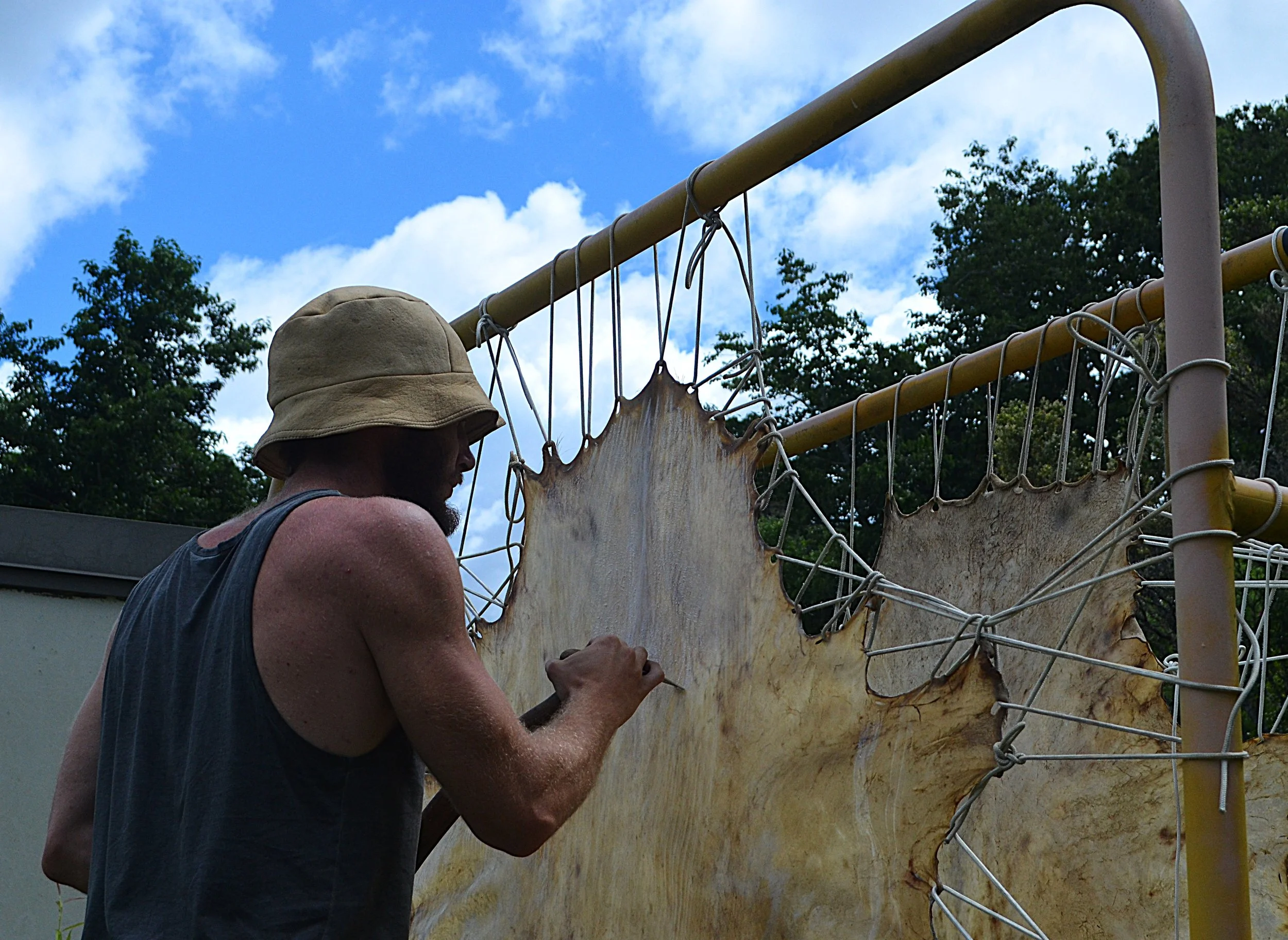 Dry scraping the neck of red deer hides to thin them a bit.