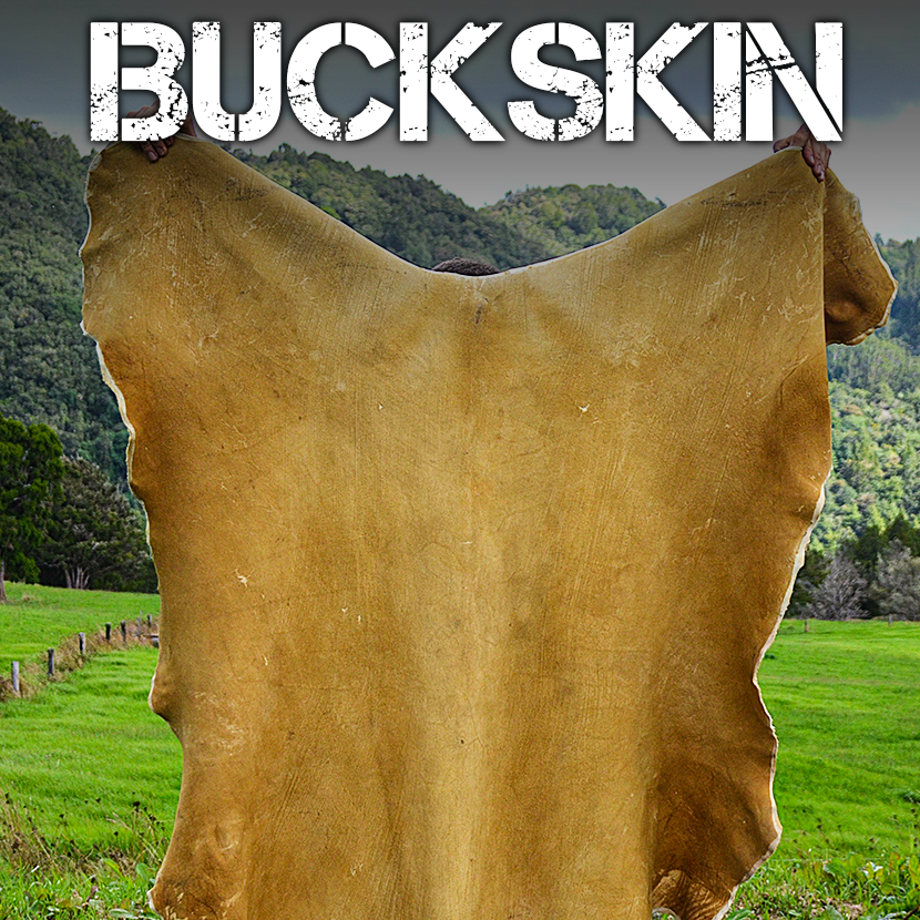 BUCKSKIN.png