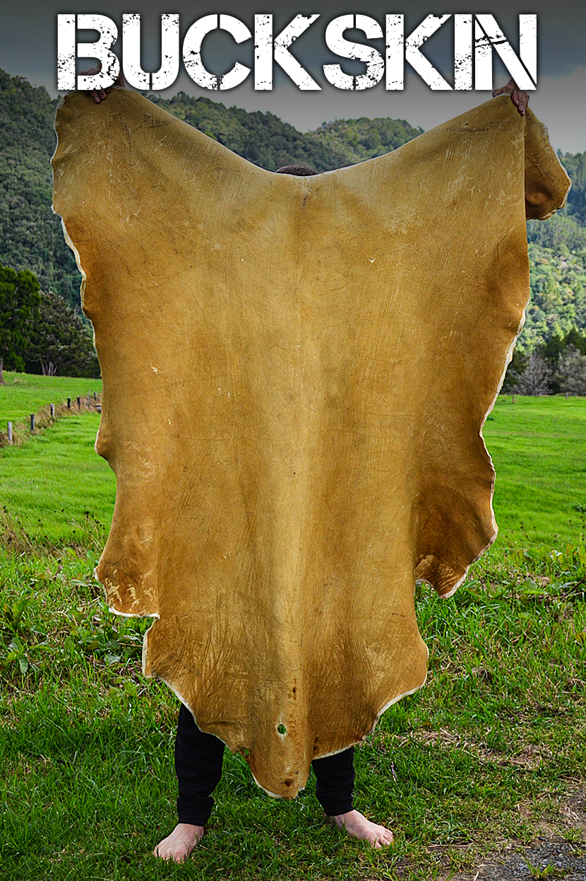 BUCKSKIN.png