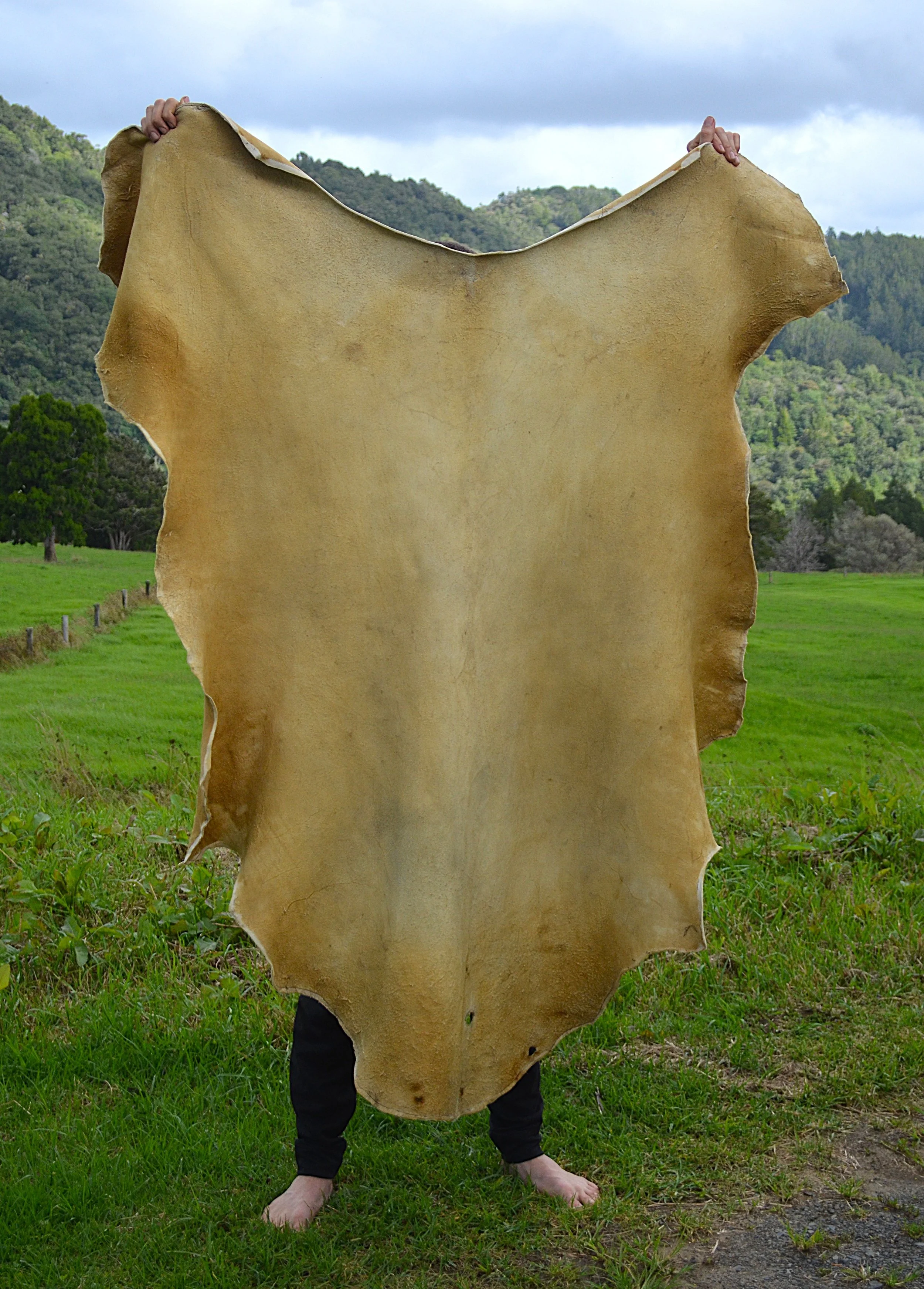 Buckskin 11 - 13.5 sq ft (2).JPG