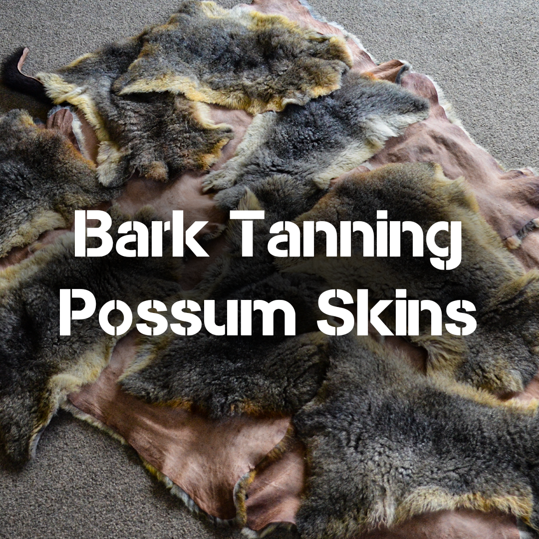 Bark Tanning Possum Skins
