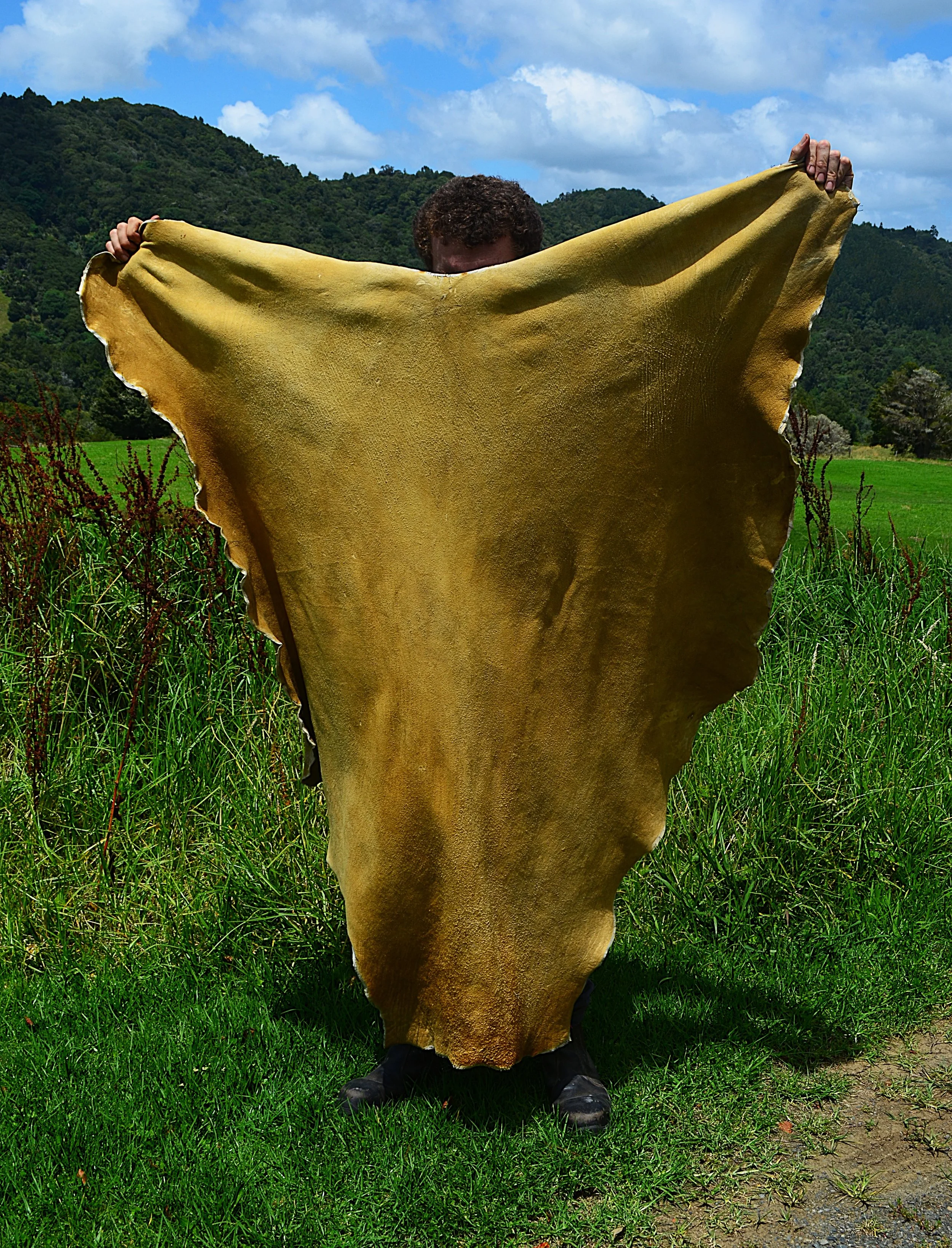 Buckskin (3) -  16.2 Sq FT