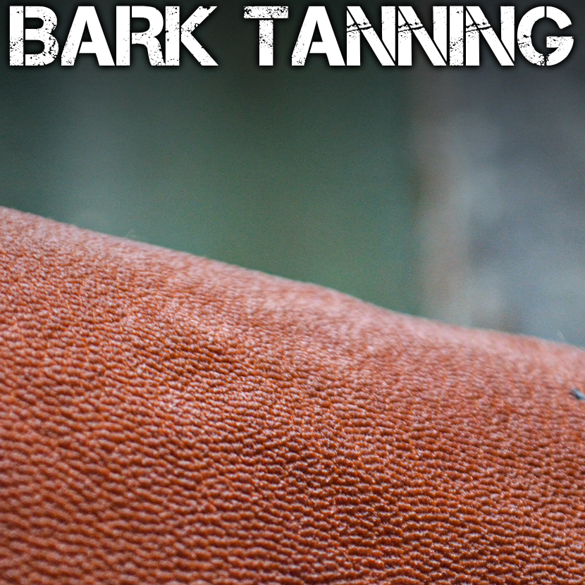BARK+TANNING.png