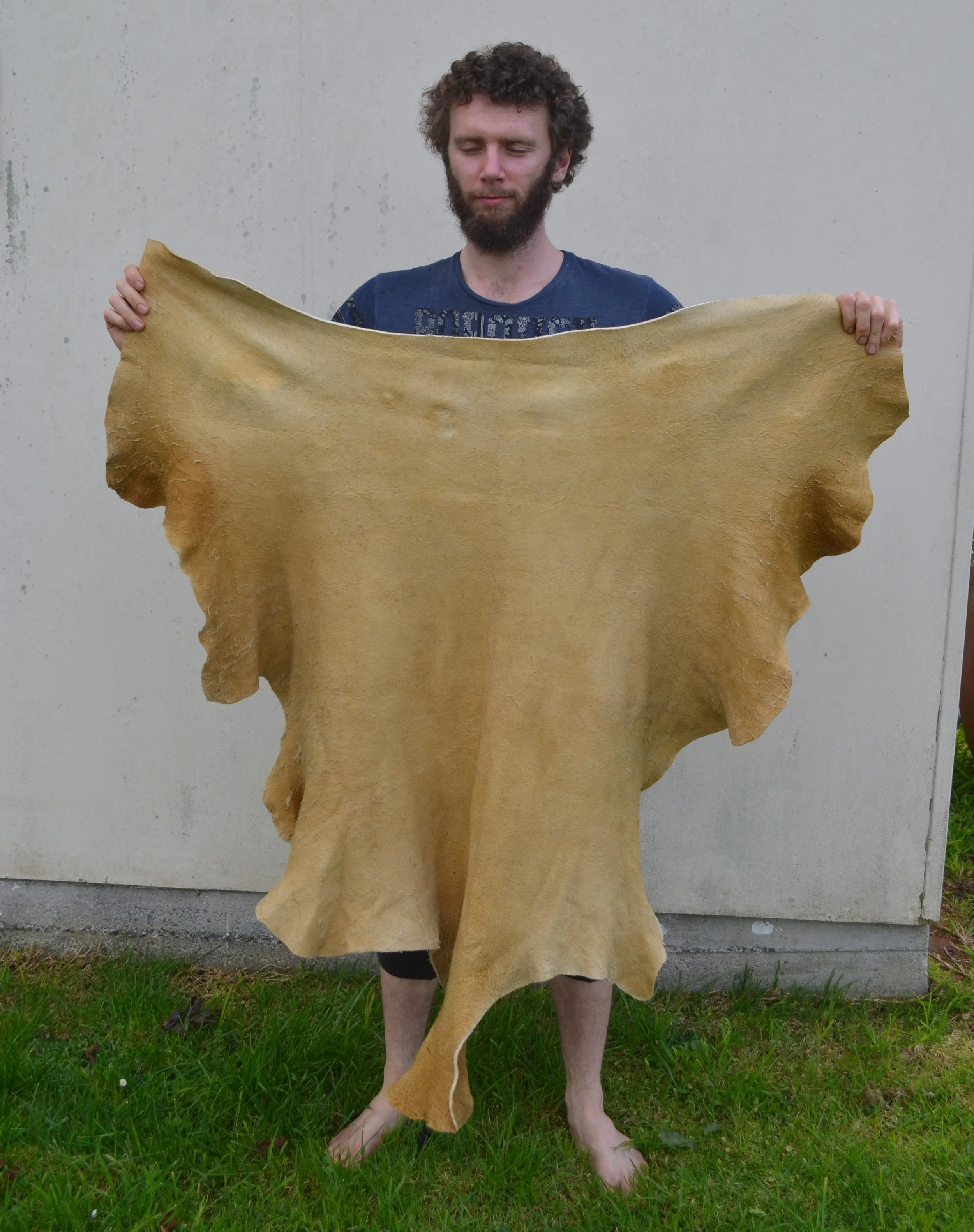 Buckskin 2 - 8.2 s ft 2.JPG