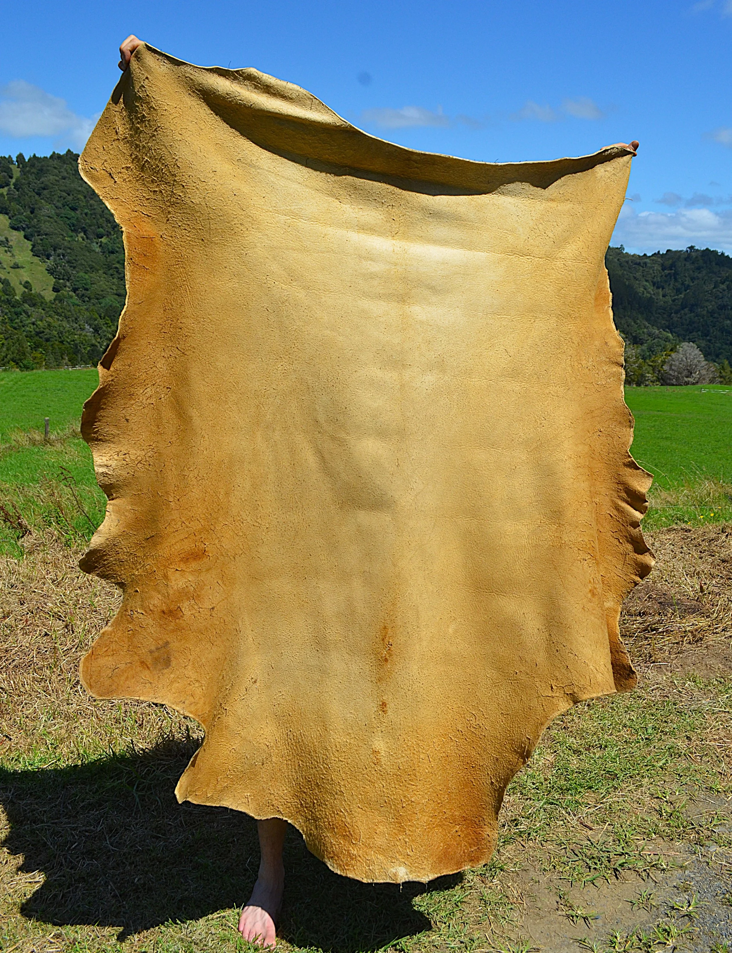 Buckskin 4 - 19 Sq FT 2 .JPG