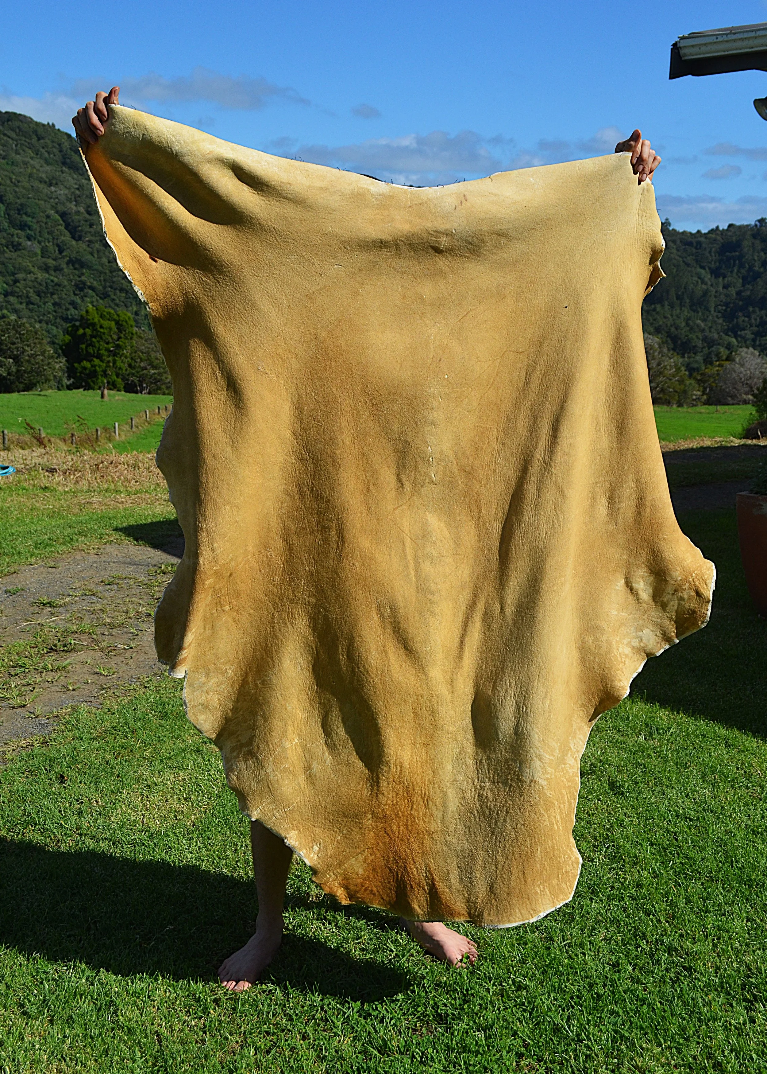 Buckskin 9 - 12.3 Sq Ft (1).JPG