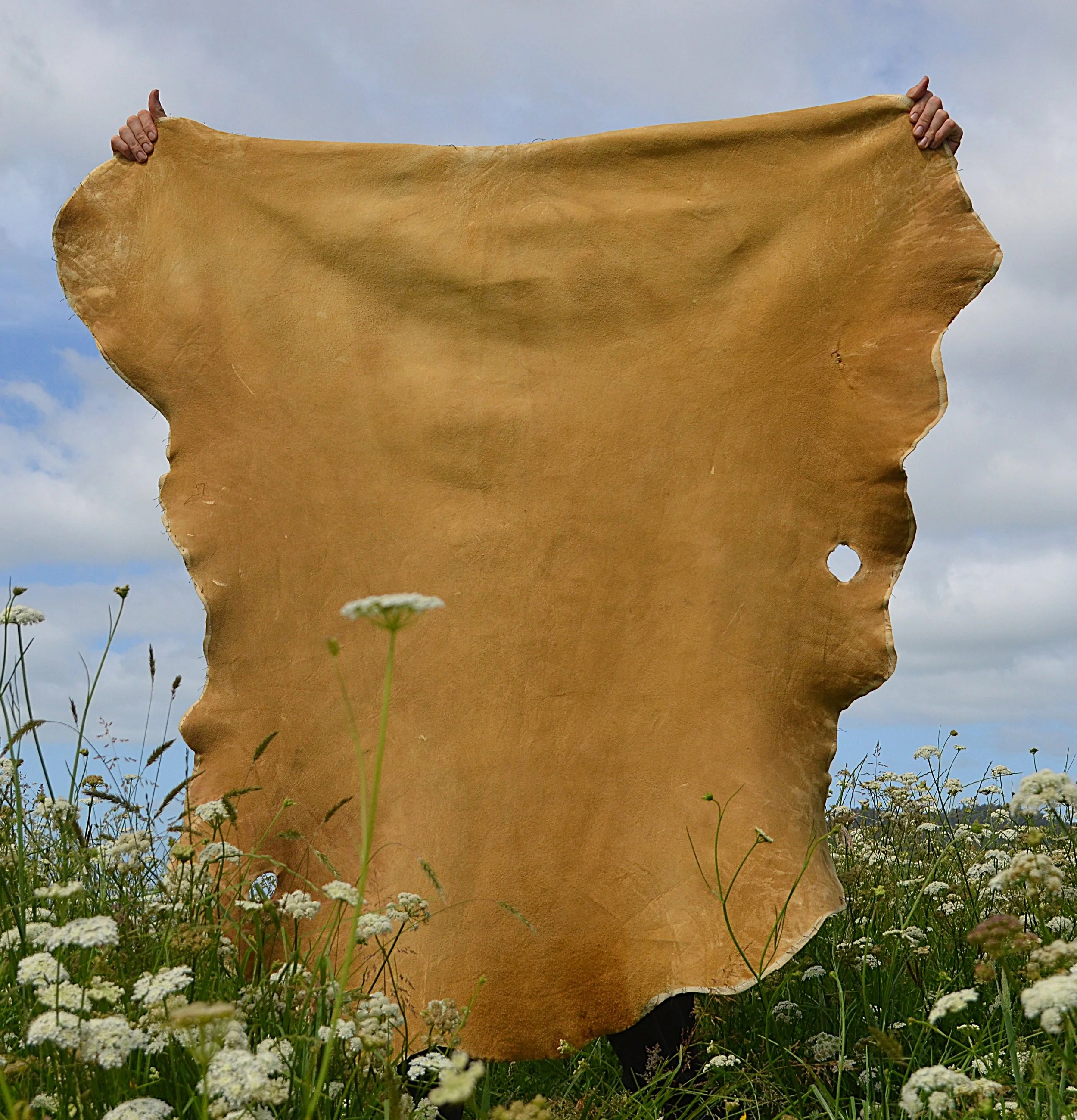 Buckskin (2)   14.3 Sq FT