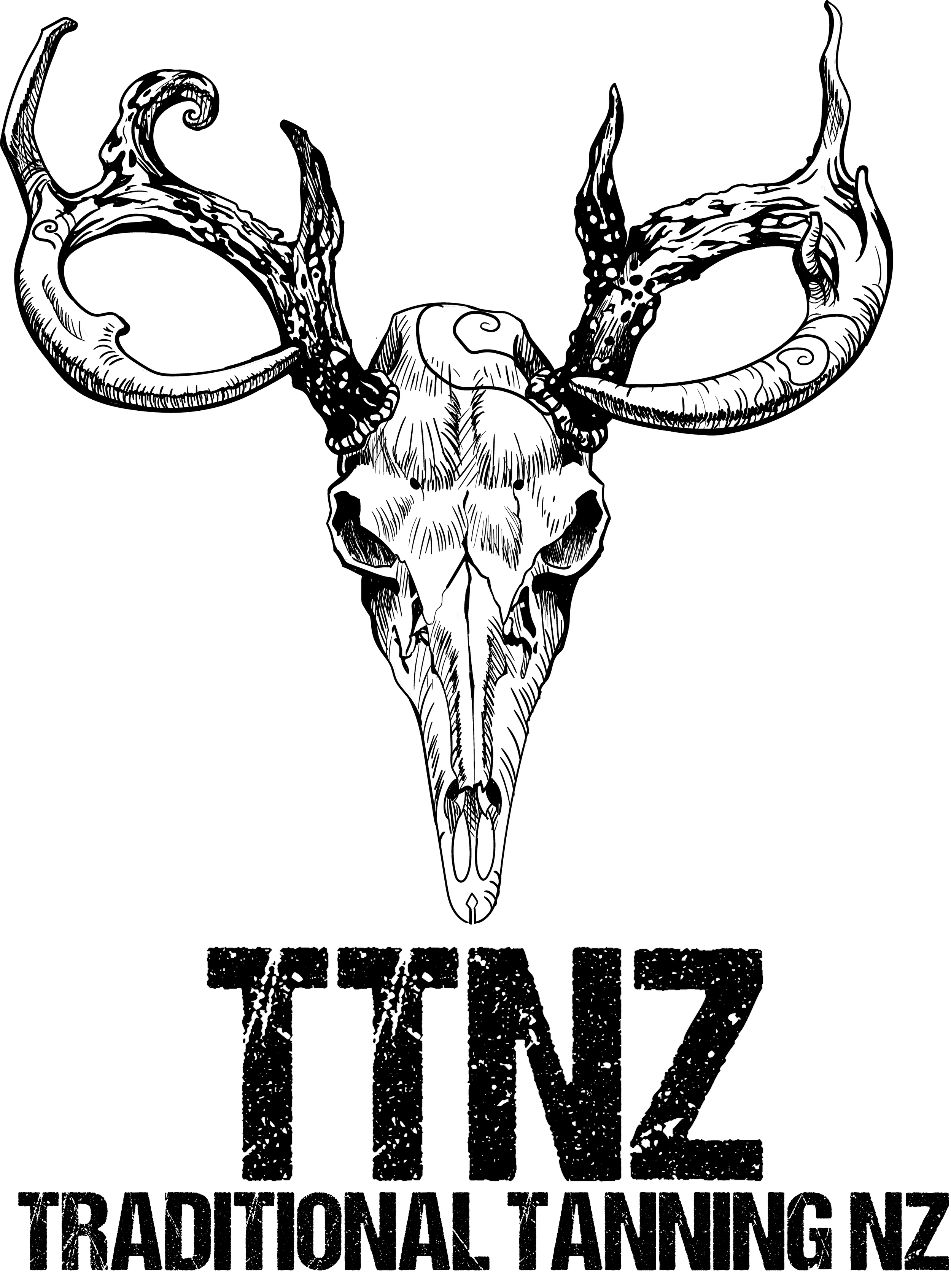 The official TTNZ Logo.