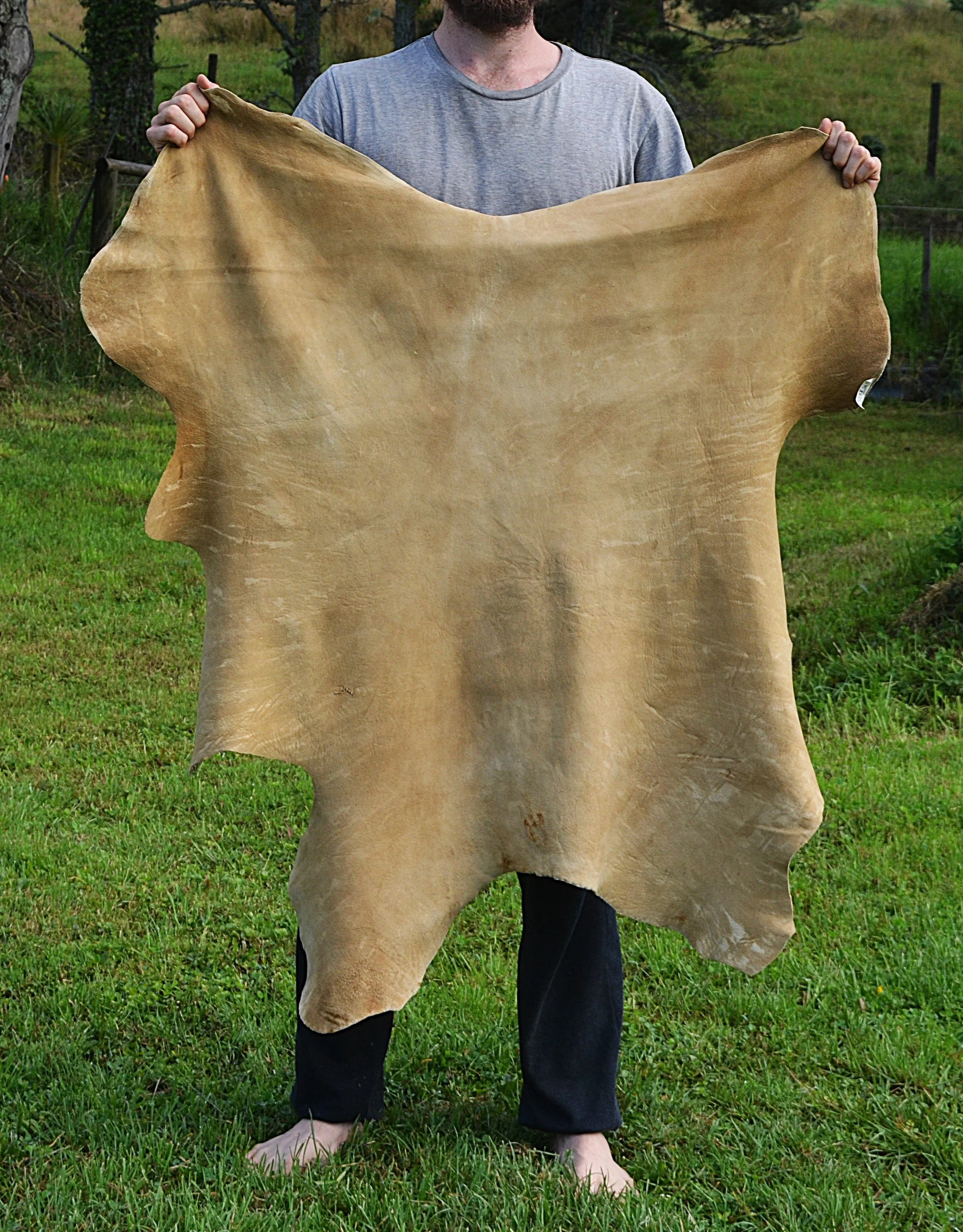 Buckskin (5) - 8.6 sq ft