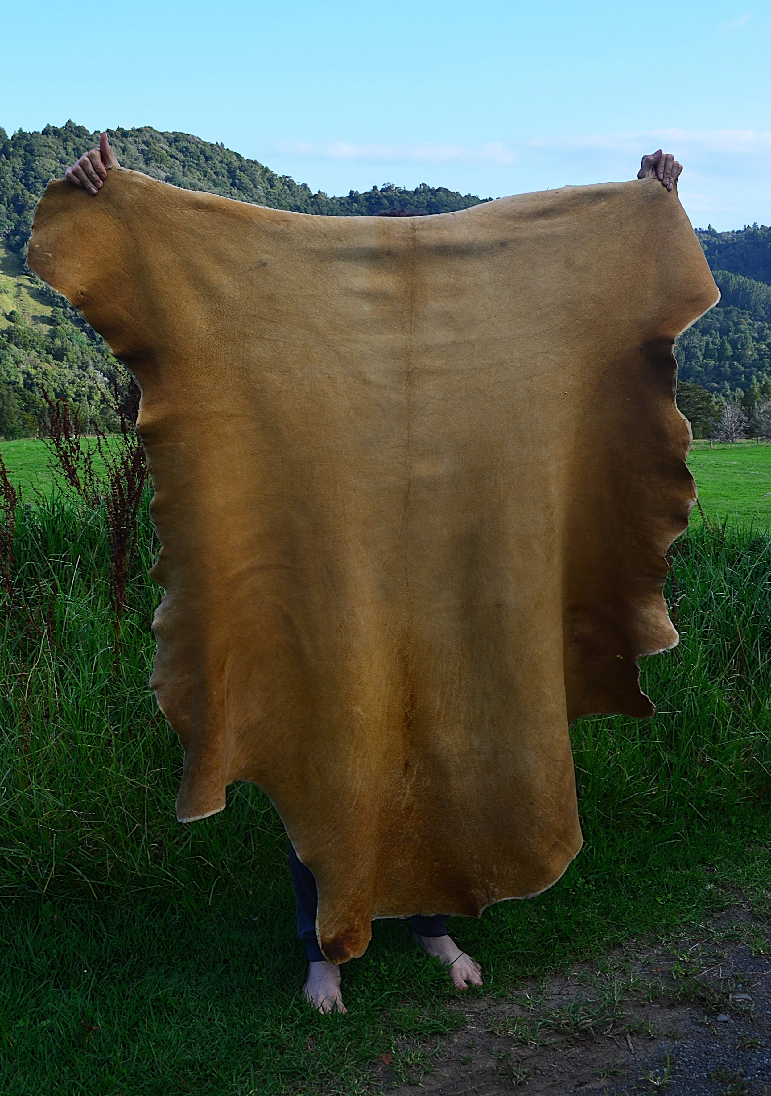 A very large hide that turned out beautiful.