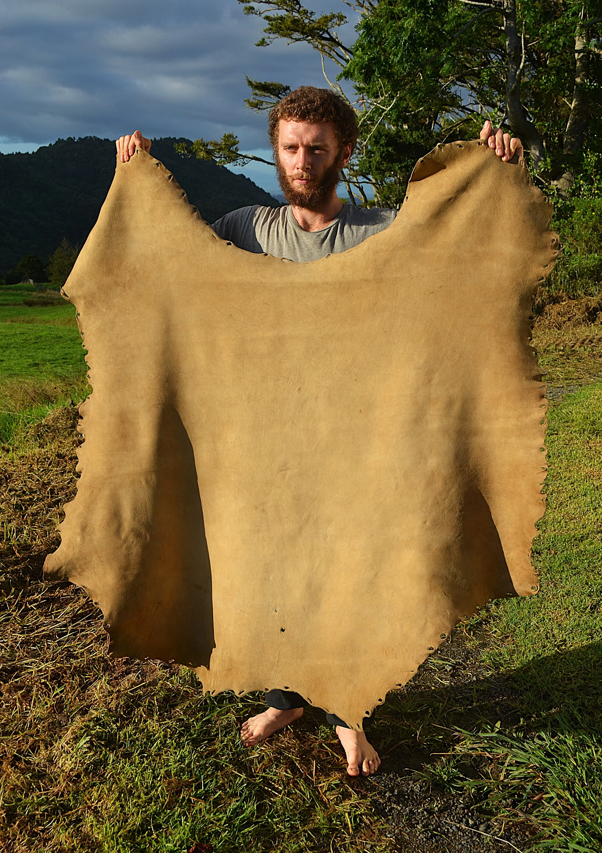 Buckskin (8) - 12.2 sq ft