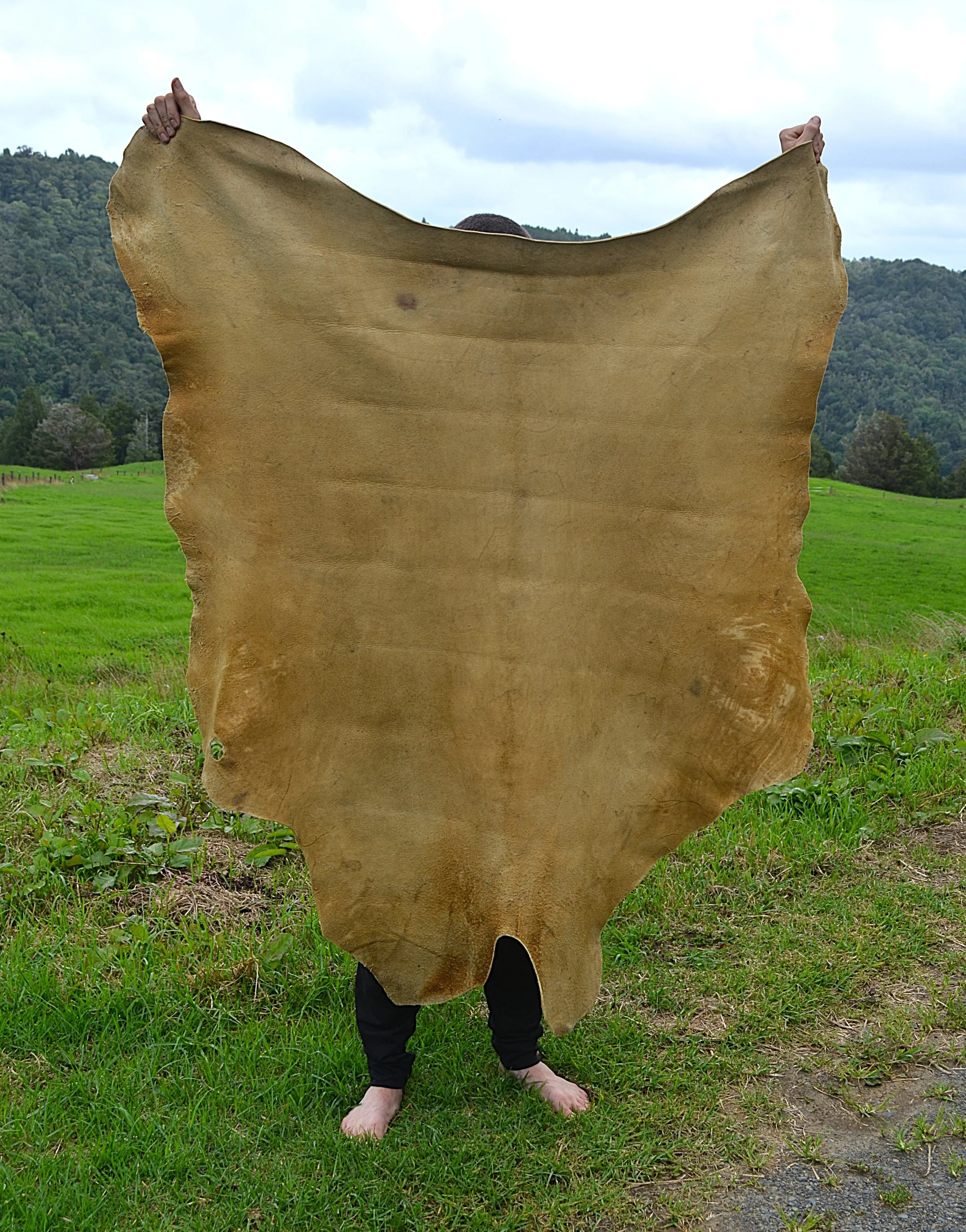 Buckskin 7 - 14.9 sq ft (2).JPG