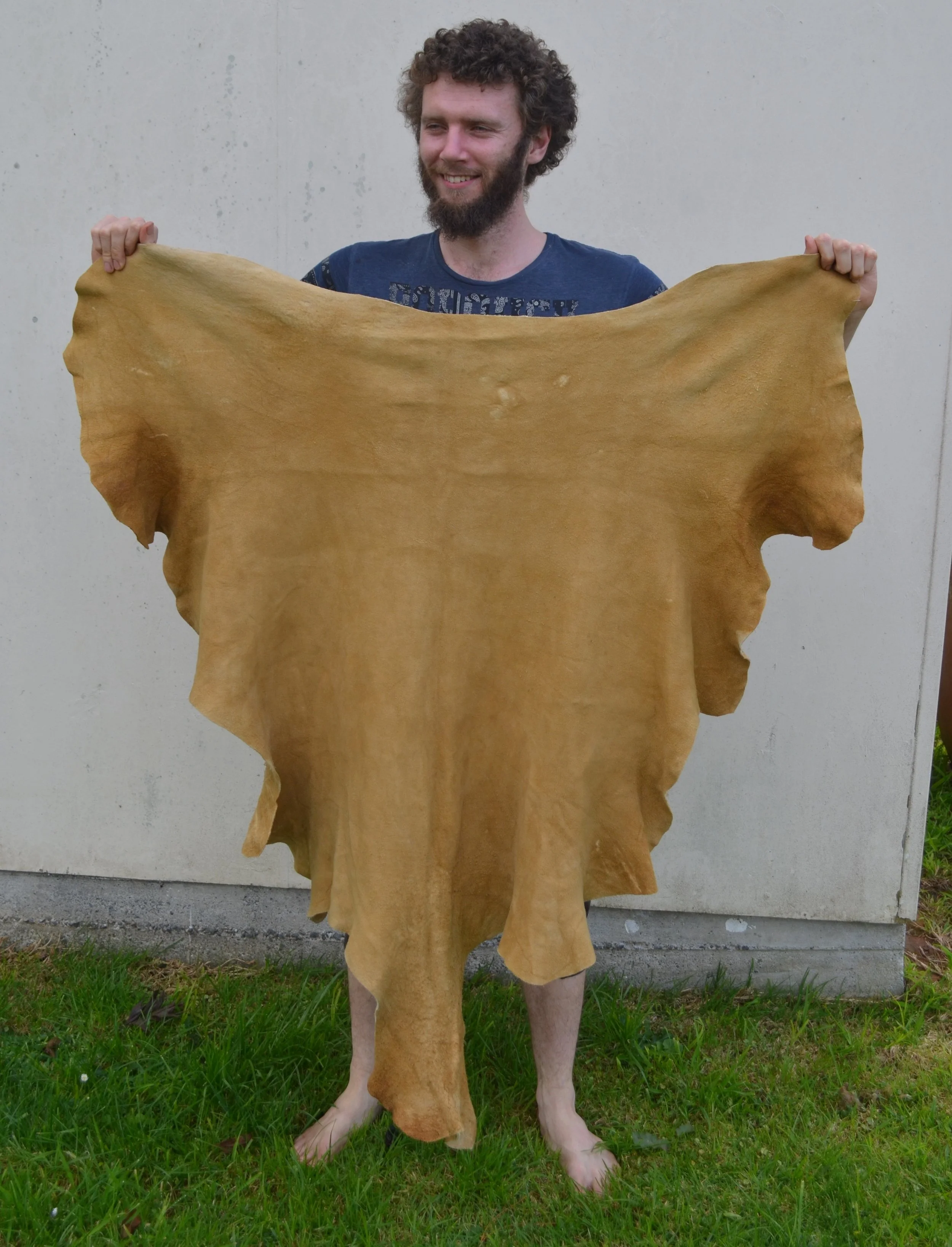Buckskin 2 - 8.2 Sq Ft 1.JPG