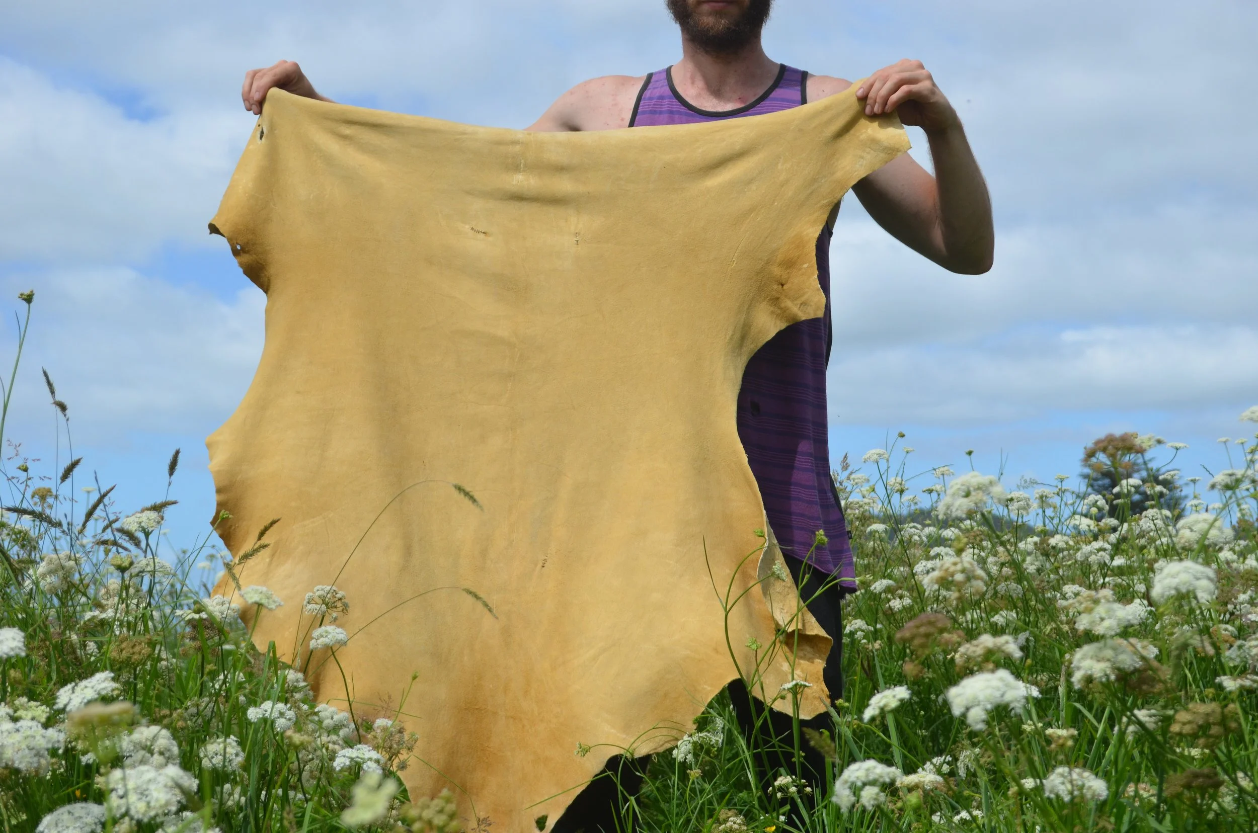 Buckskin (1) - 6 sq FT