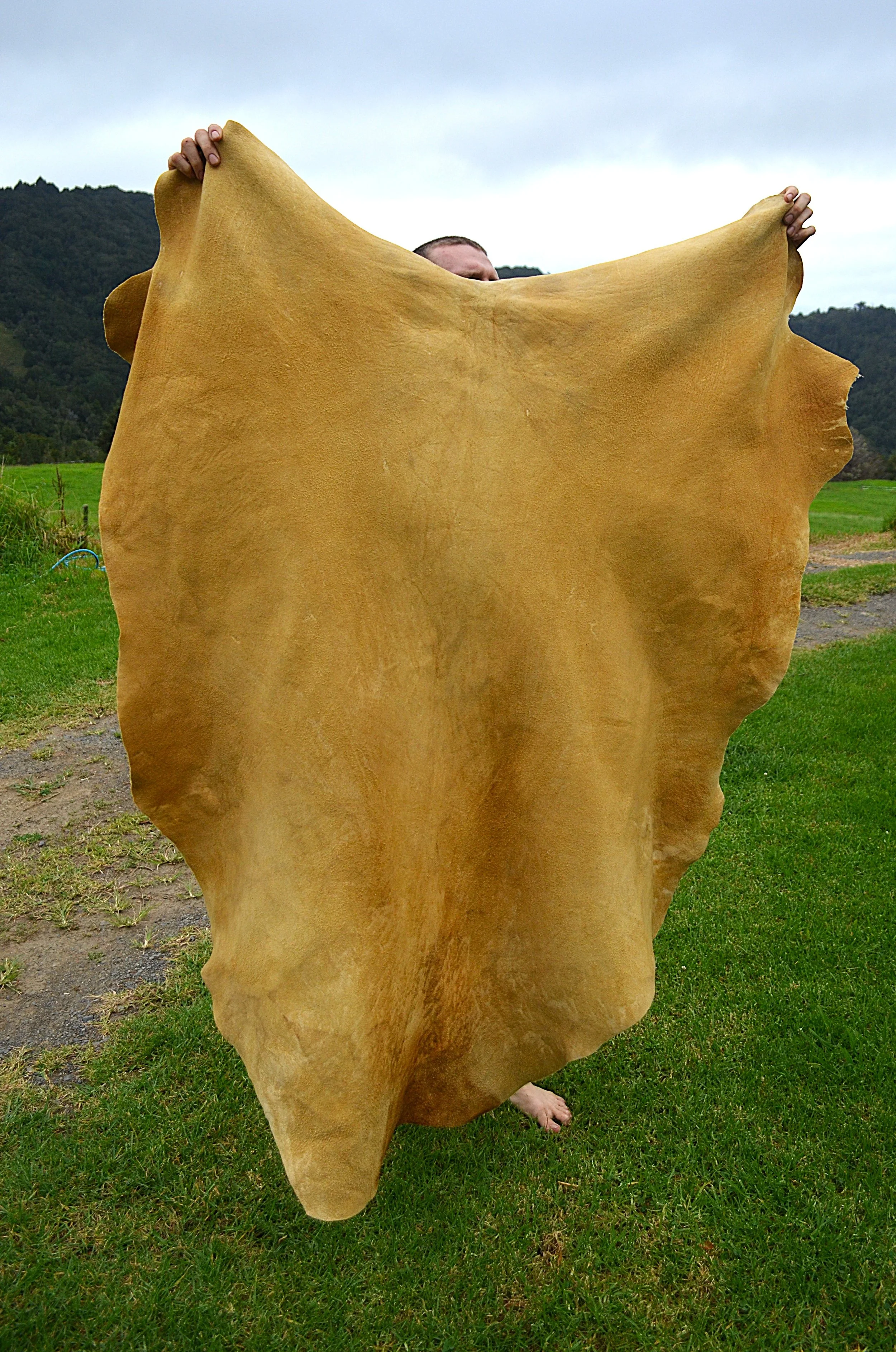 Buckskin (10) - 12 Sq Ft.