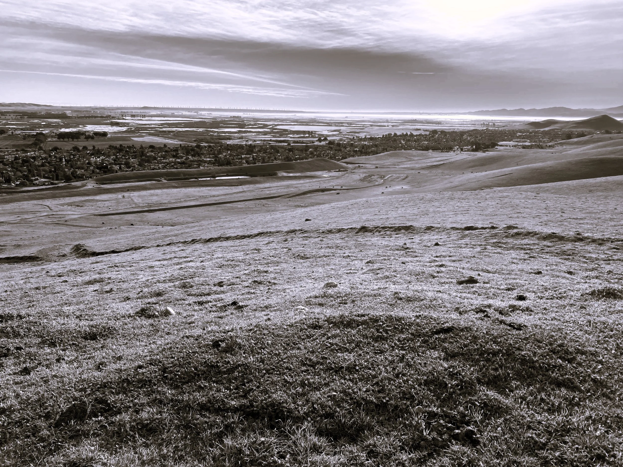 A panoramic view of a landscape featuring rolling hills in the foreground, a town with houses and roads, and a large body of water with wind turbines in the background under a cloudy sky.