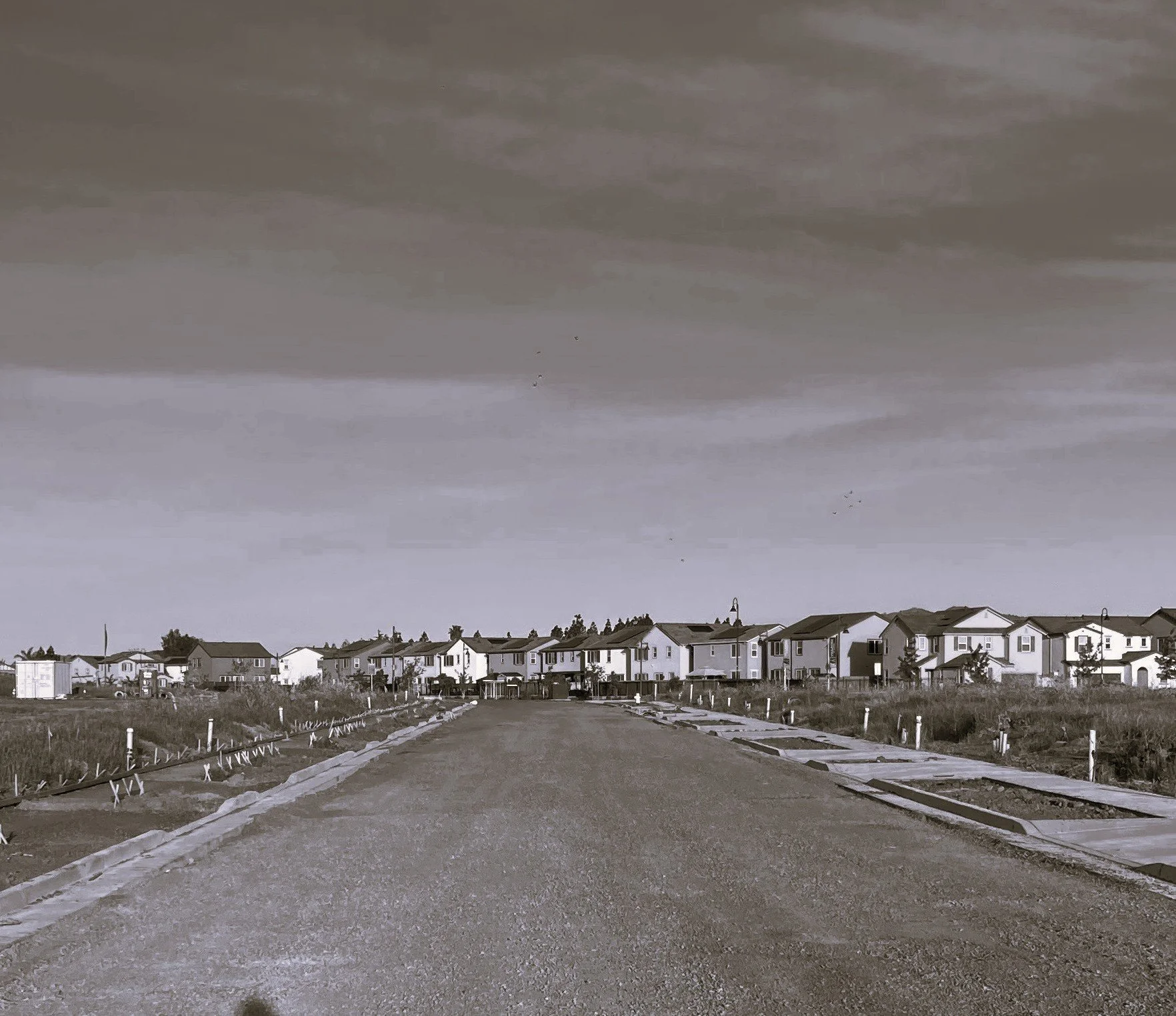 A residential neighborhood with multiple new houses, a paved road, and a cloudy sky overhead.