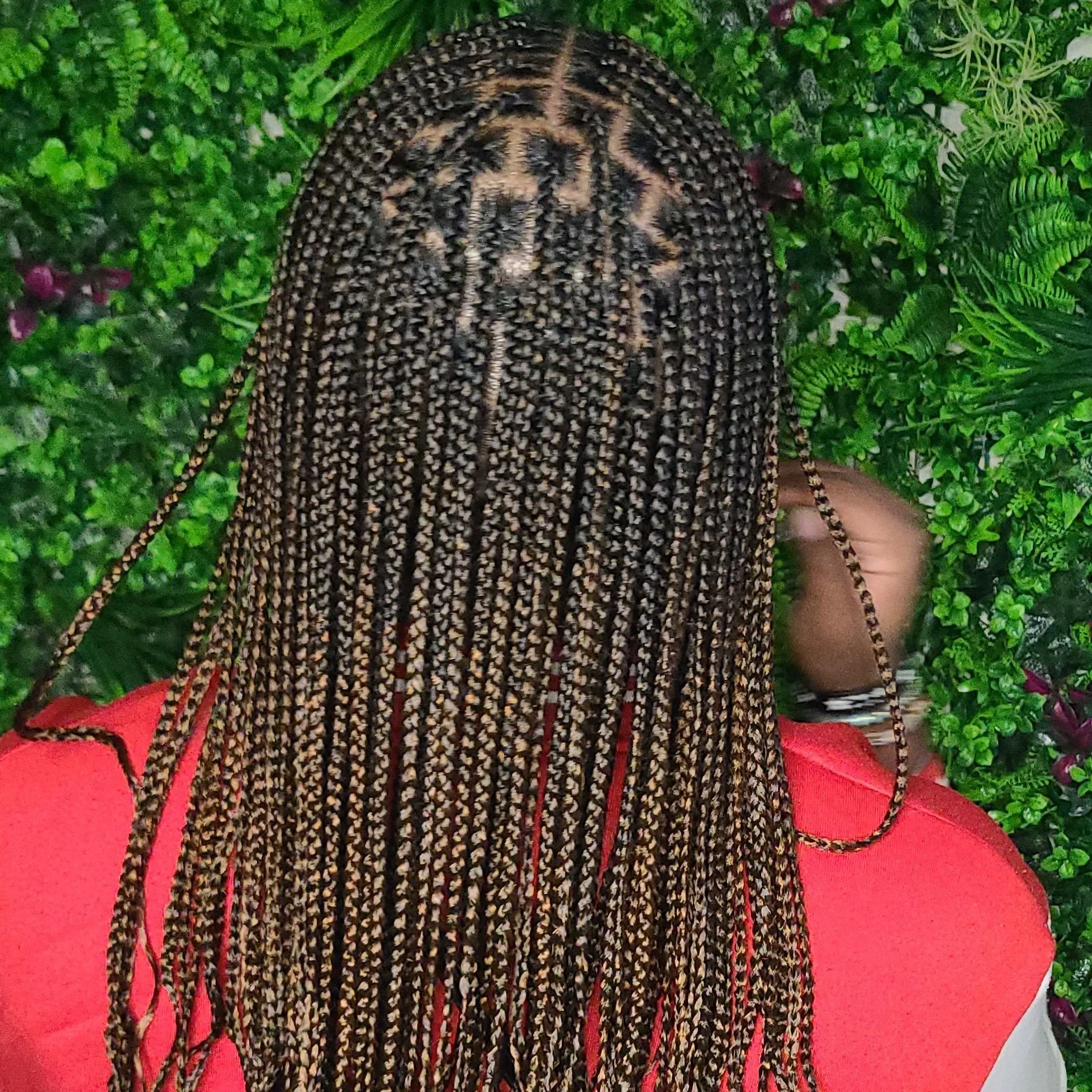 Person with intricately styled medium-length braided hair wearing a red top, standing in front of lush green plants.