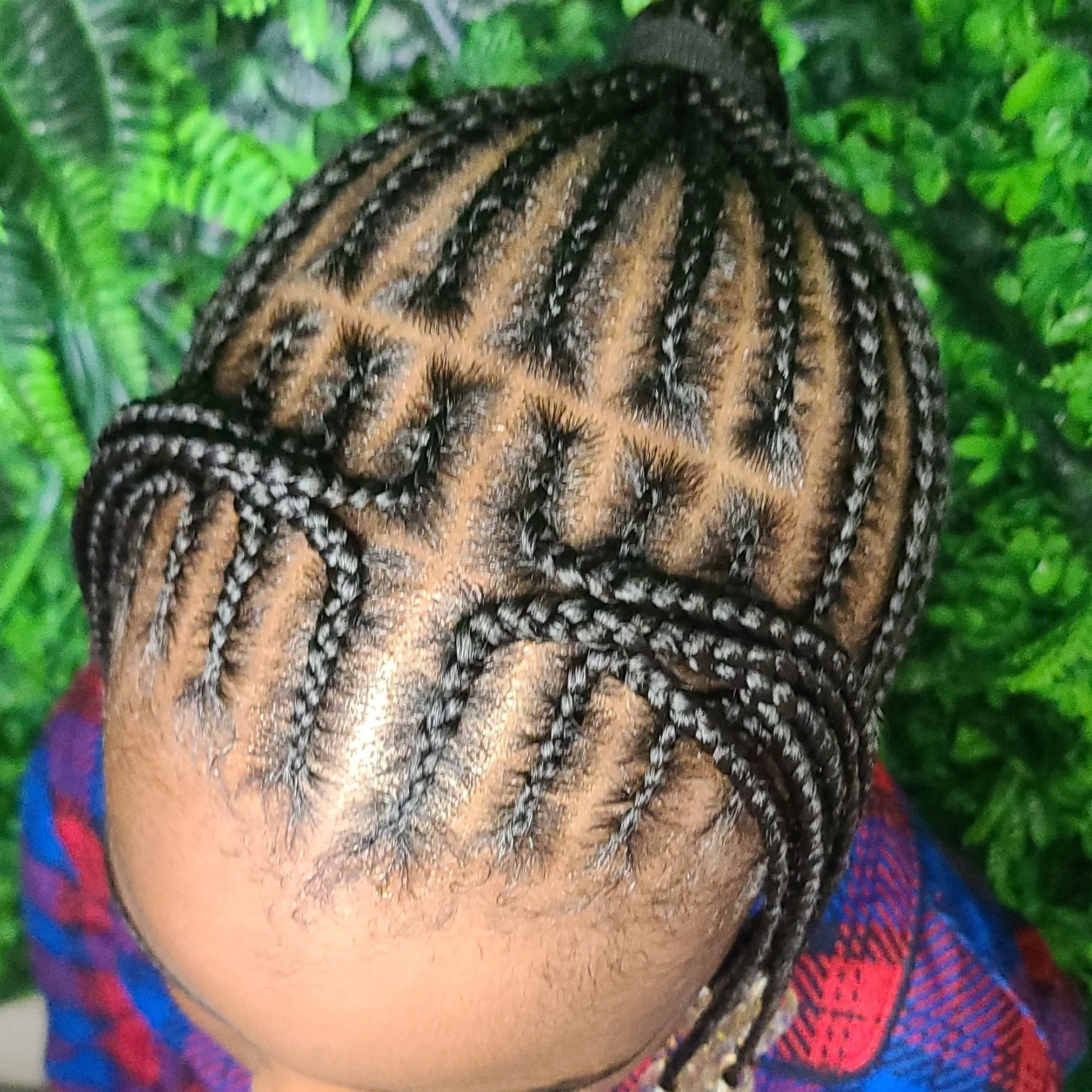 Close-up of a person's head with neatly styled braids against a background of green foliage.