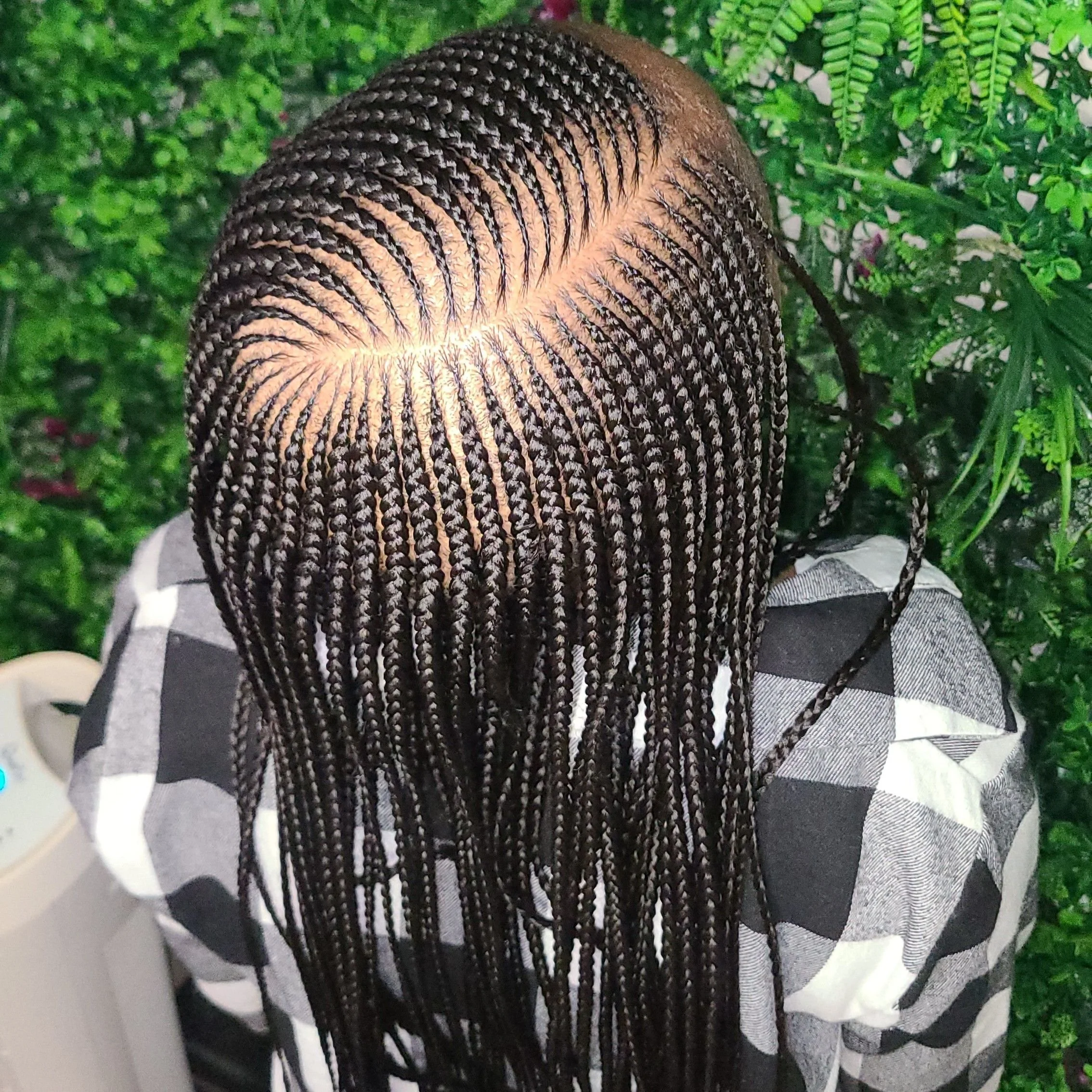Top view of a person with long, thin, neatly styled box braids and a plaid shirt, surrounded by green plants.