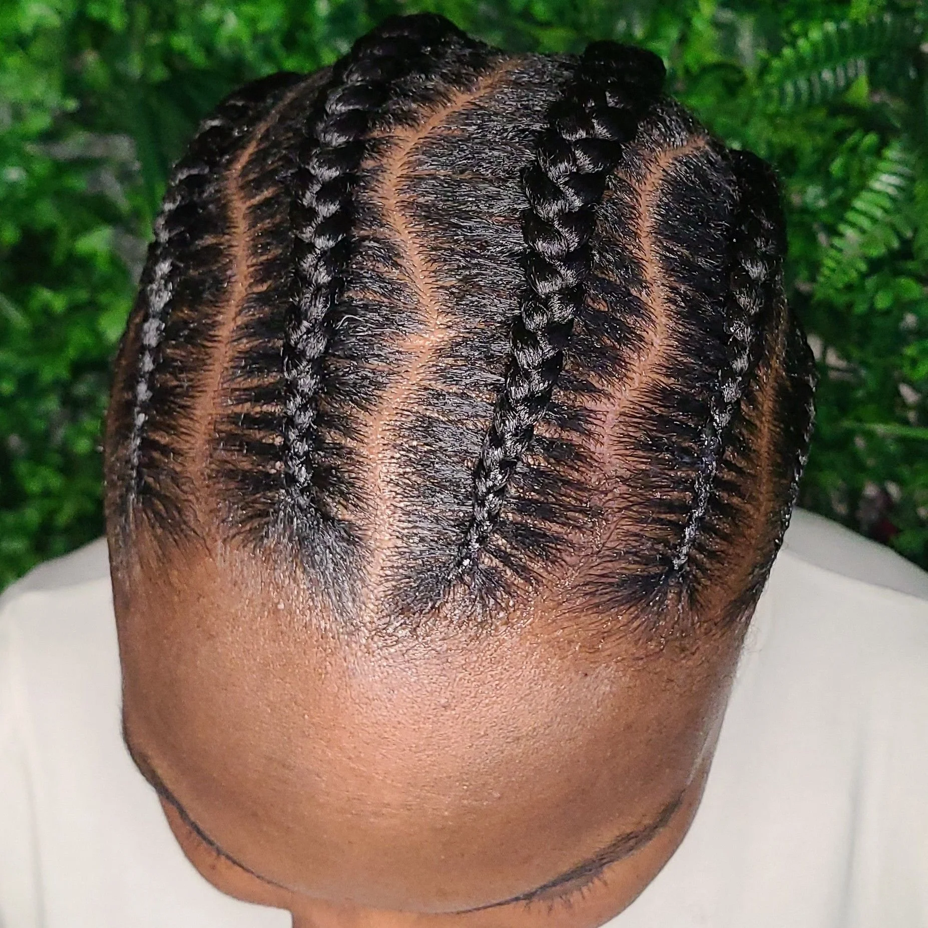 Top view of a person's head with neatly braided hair and a natural hairline, outdoors with green foliage in the background.