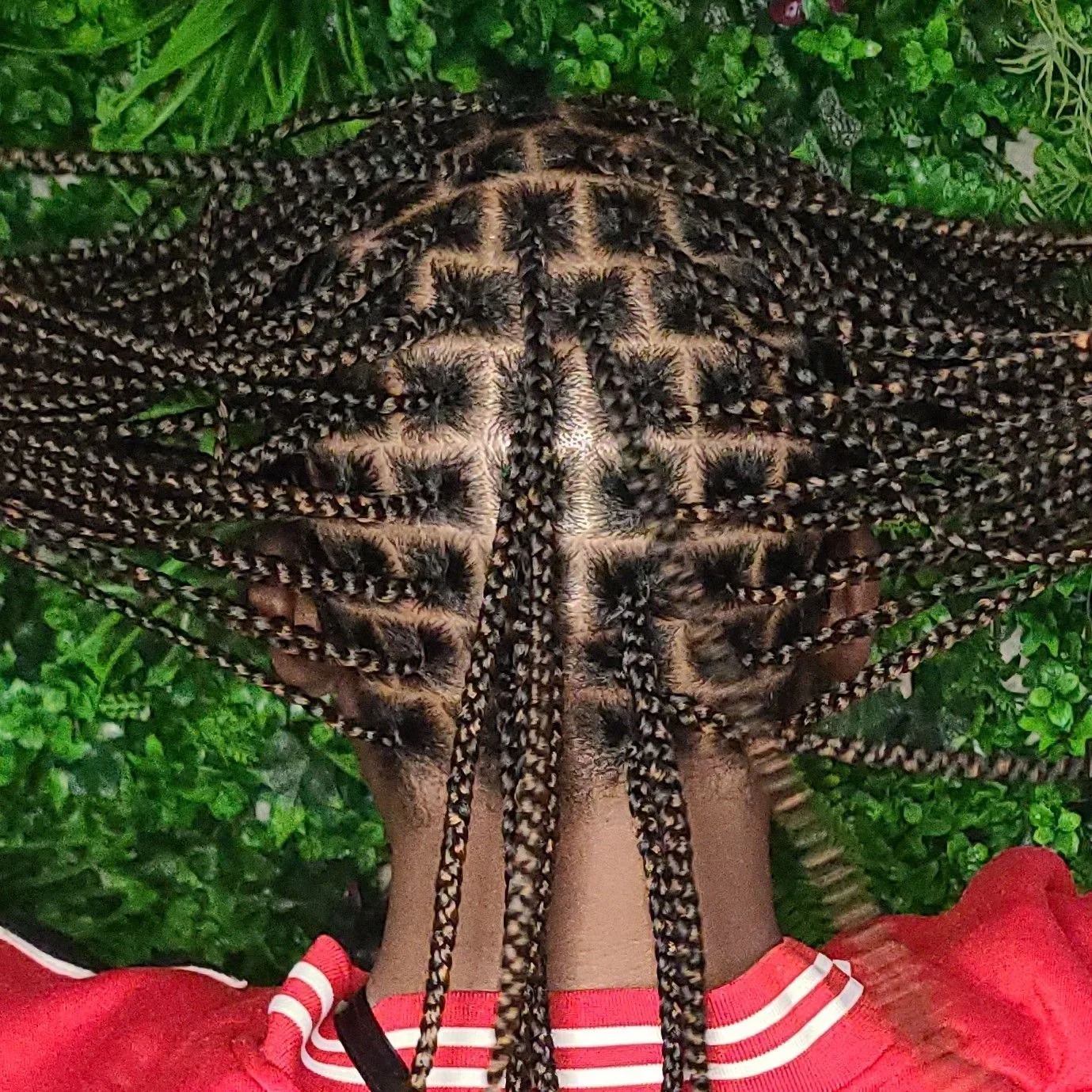 Close-up of a person's head with intricately styled braids, surrounded by green foliage, wearing a red and white striped top.